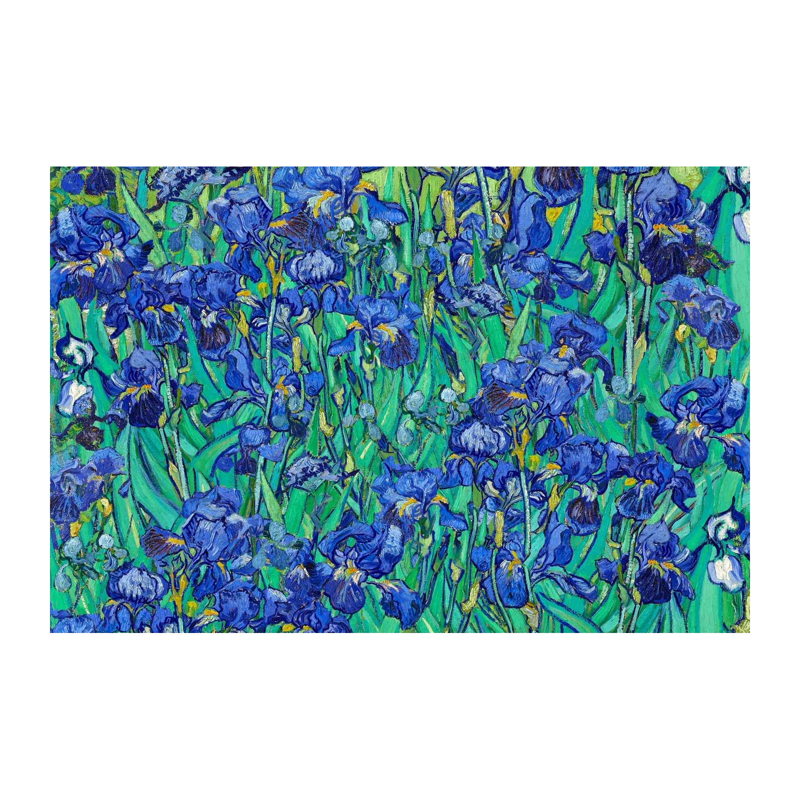Van Gogh Irises Wall Art Wall Art