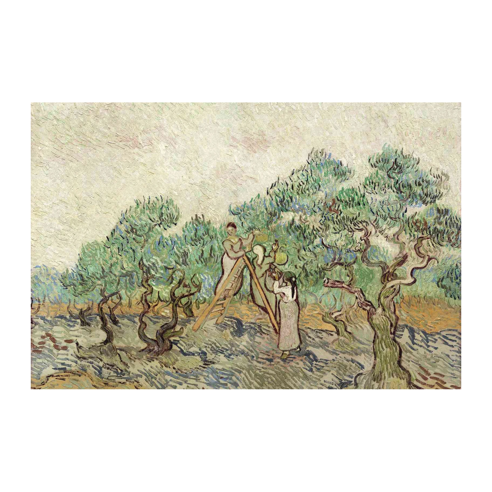 Olive Grove Harvest Van Gogh Style Wall Art