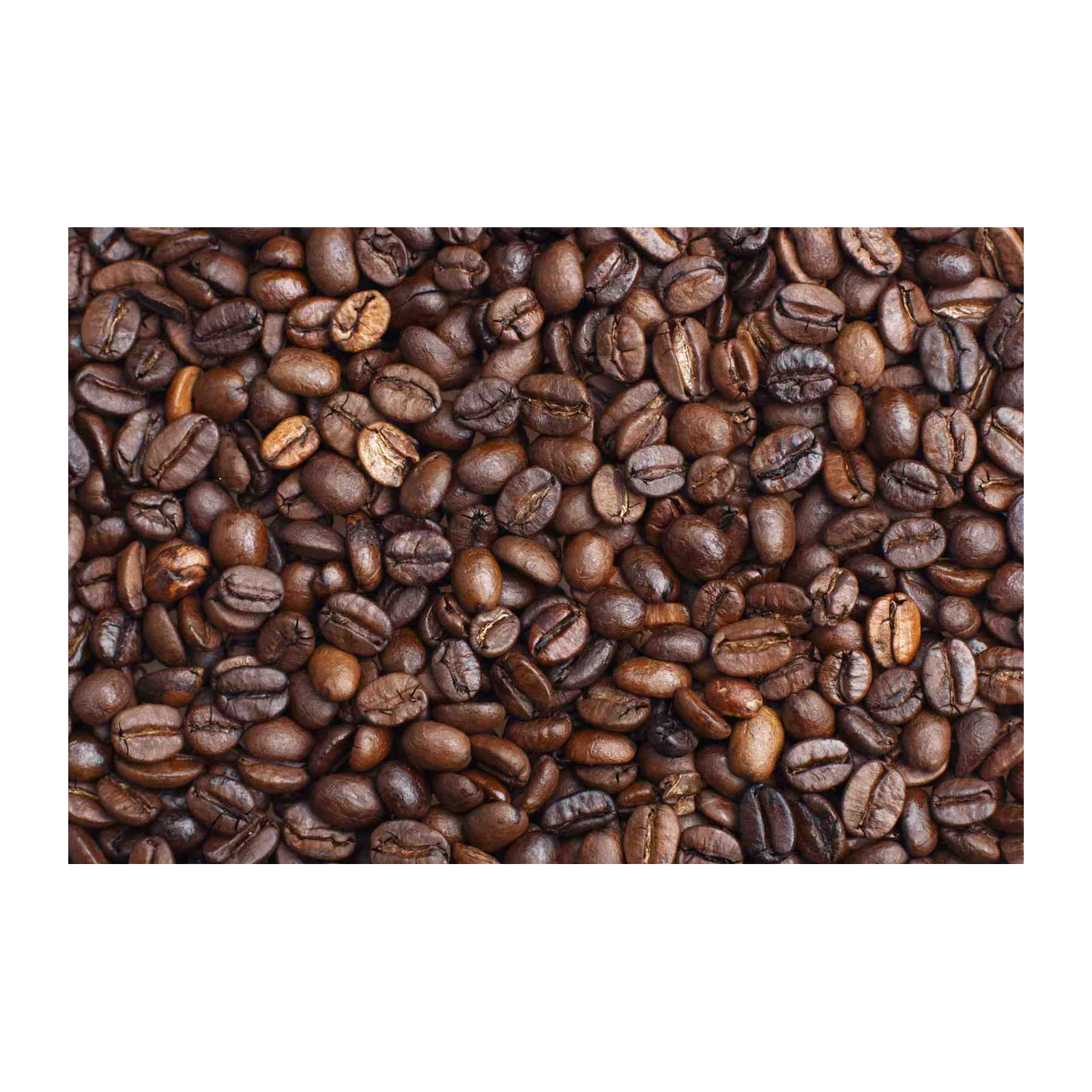 Rich Coffee Beans Close-Up Wall Art