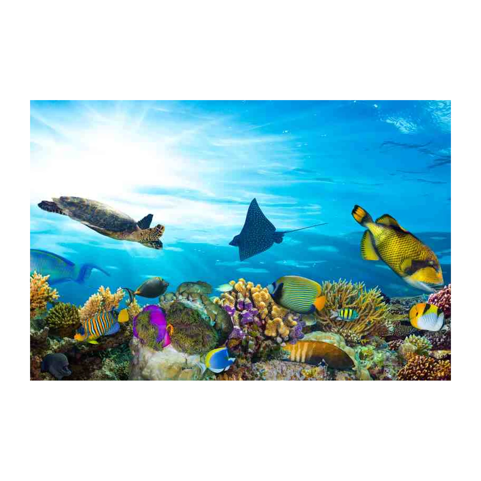 Vibrant Coral Reef & Marine Life Wall Art