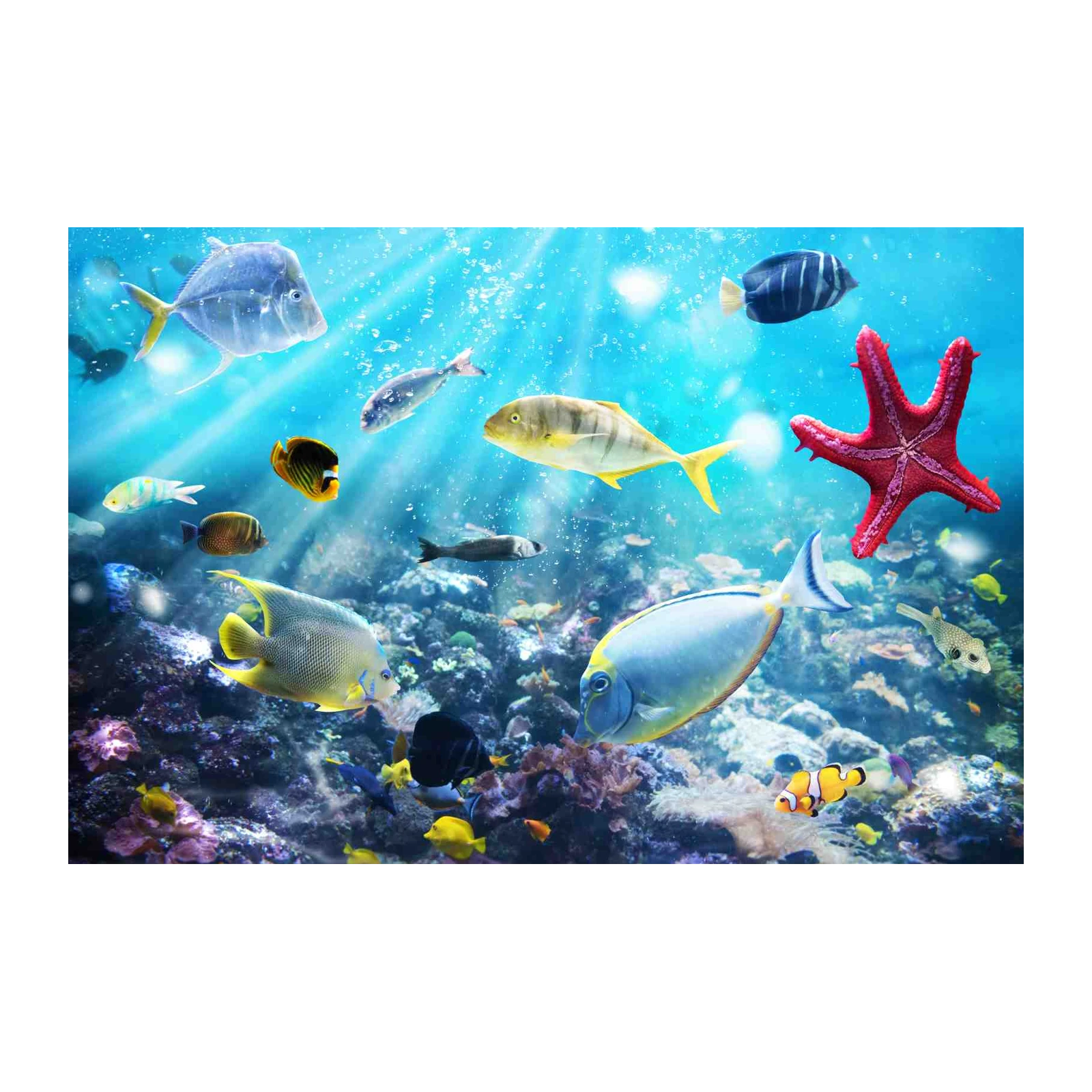 Vibrant Underwater Scene Tropical Fish Wall Art
