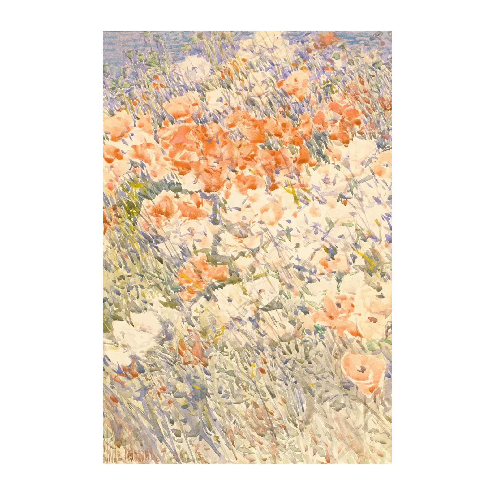 Vibrant Poppy Field Watercolor Wall Art