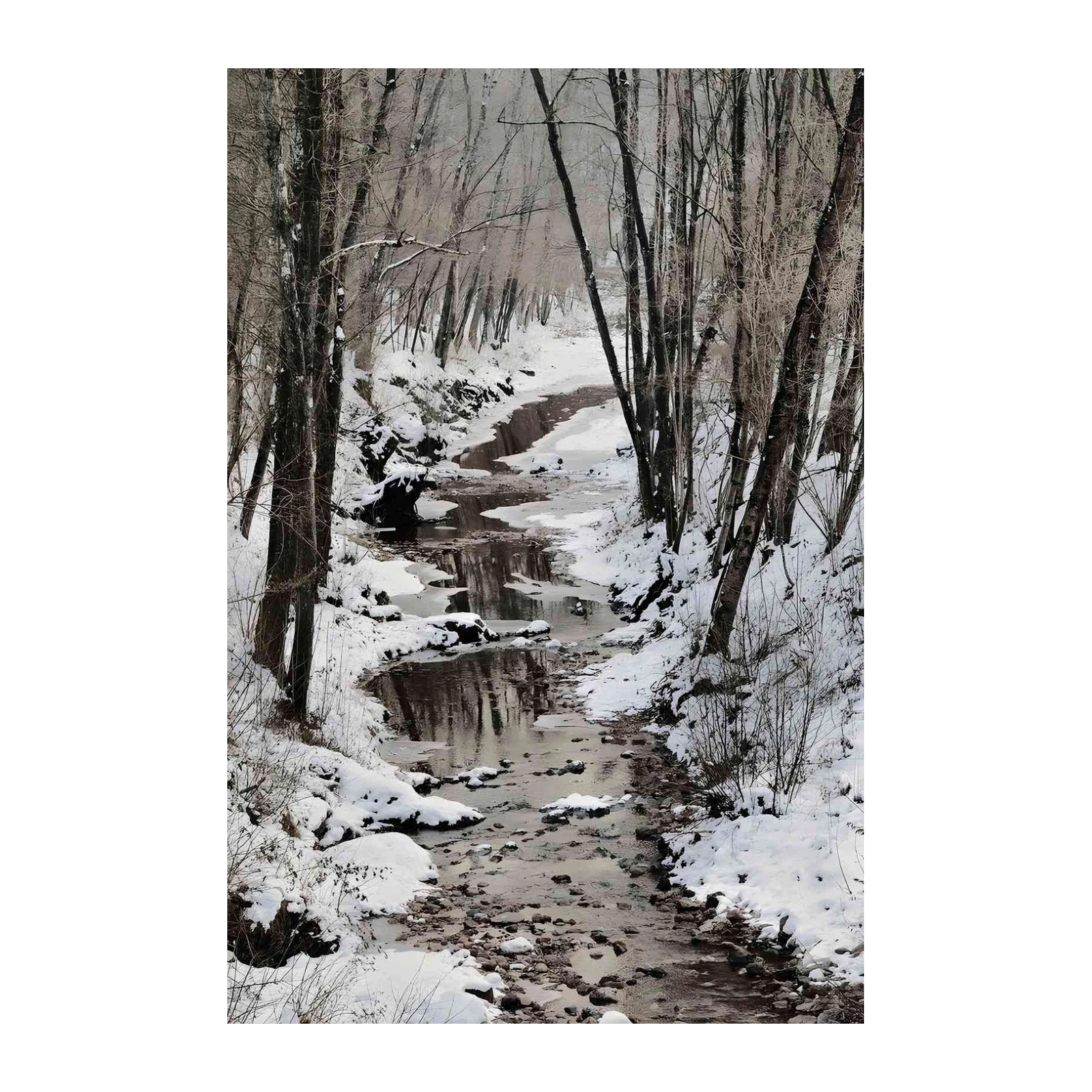 Winter Forest Stream Serenity Wall Art