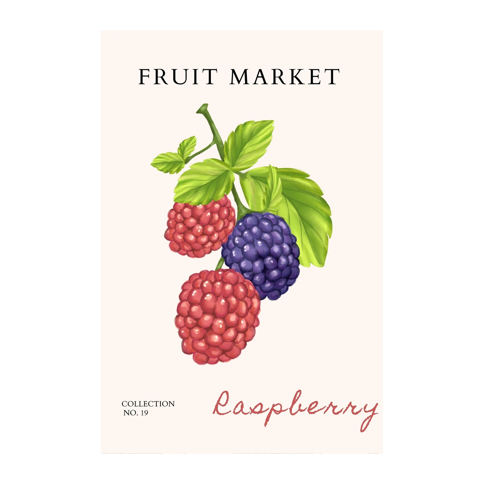 Vibrant Raspberry Blackberry Fruit Market Wall Art