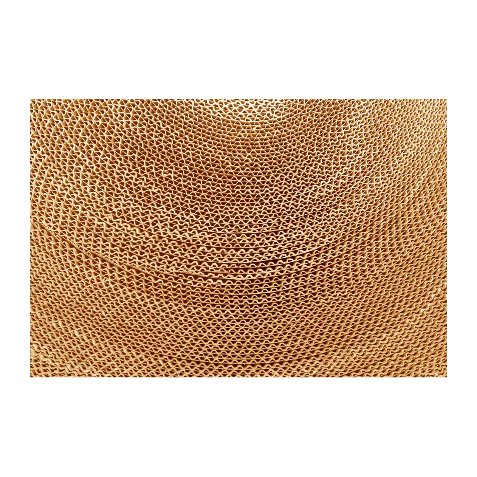 Textured Cardboard Swirl Wall Art
