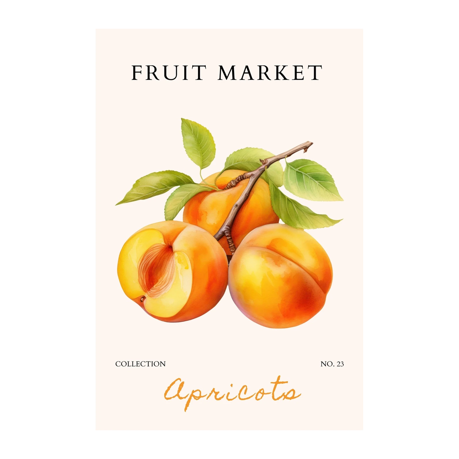 Vibrant Apricot Still Life Wall Art