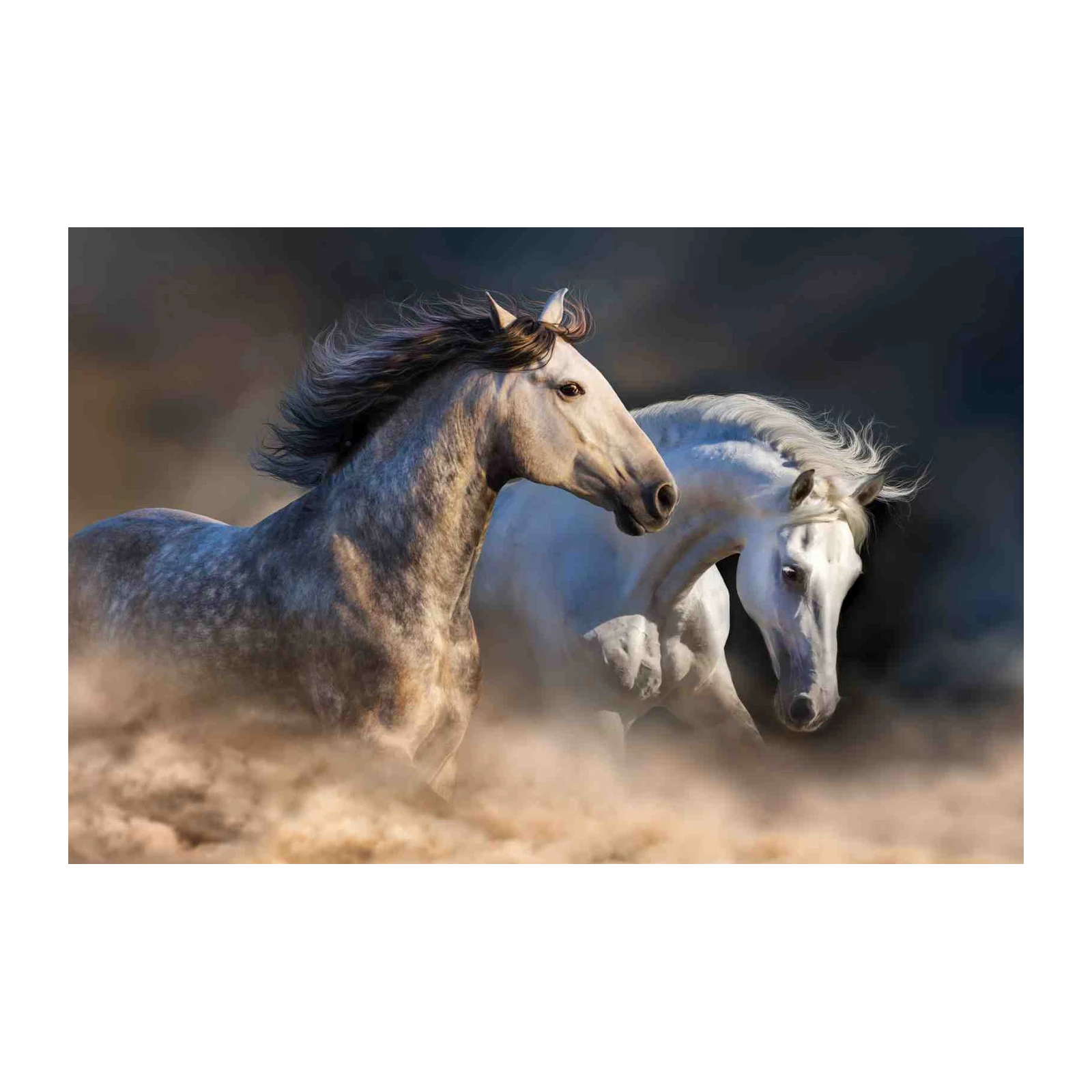 Majestic Horses Running Wild Wall Art
