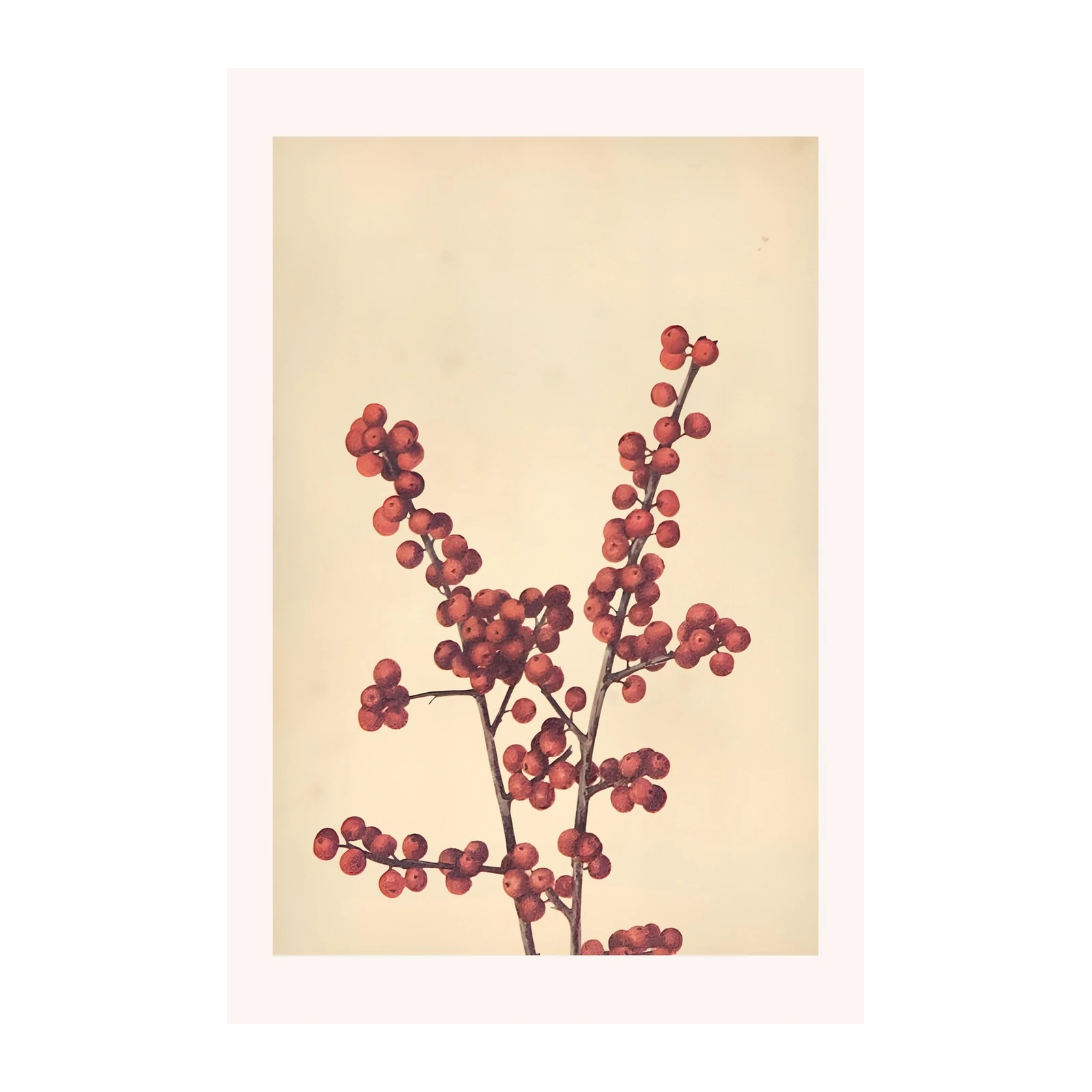 Vibrant Red Berry Branch Botanical Wall Art