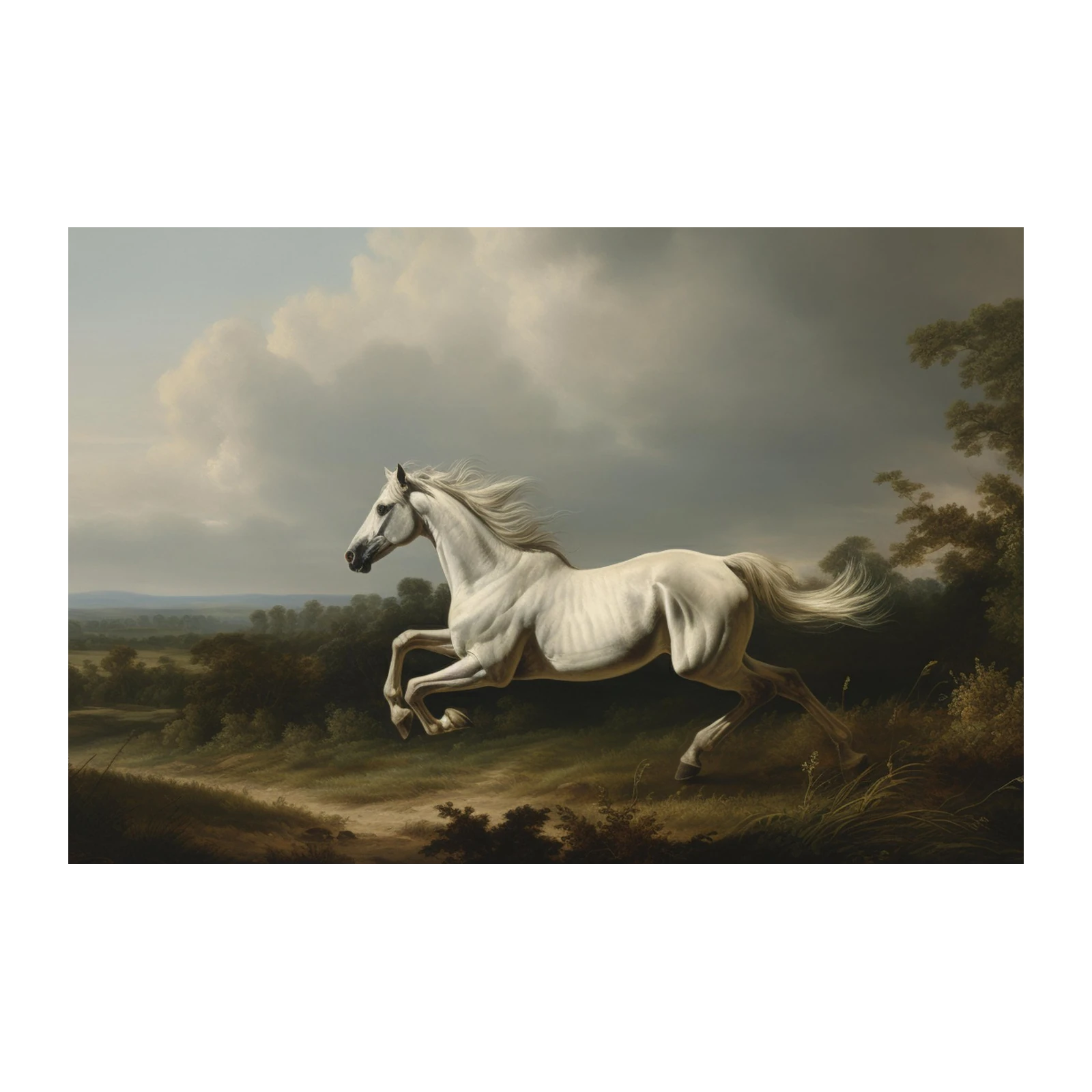 Majestic White Horse Galloping Wall Art