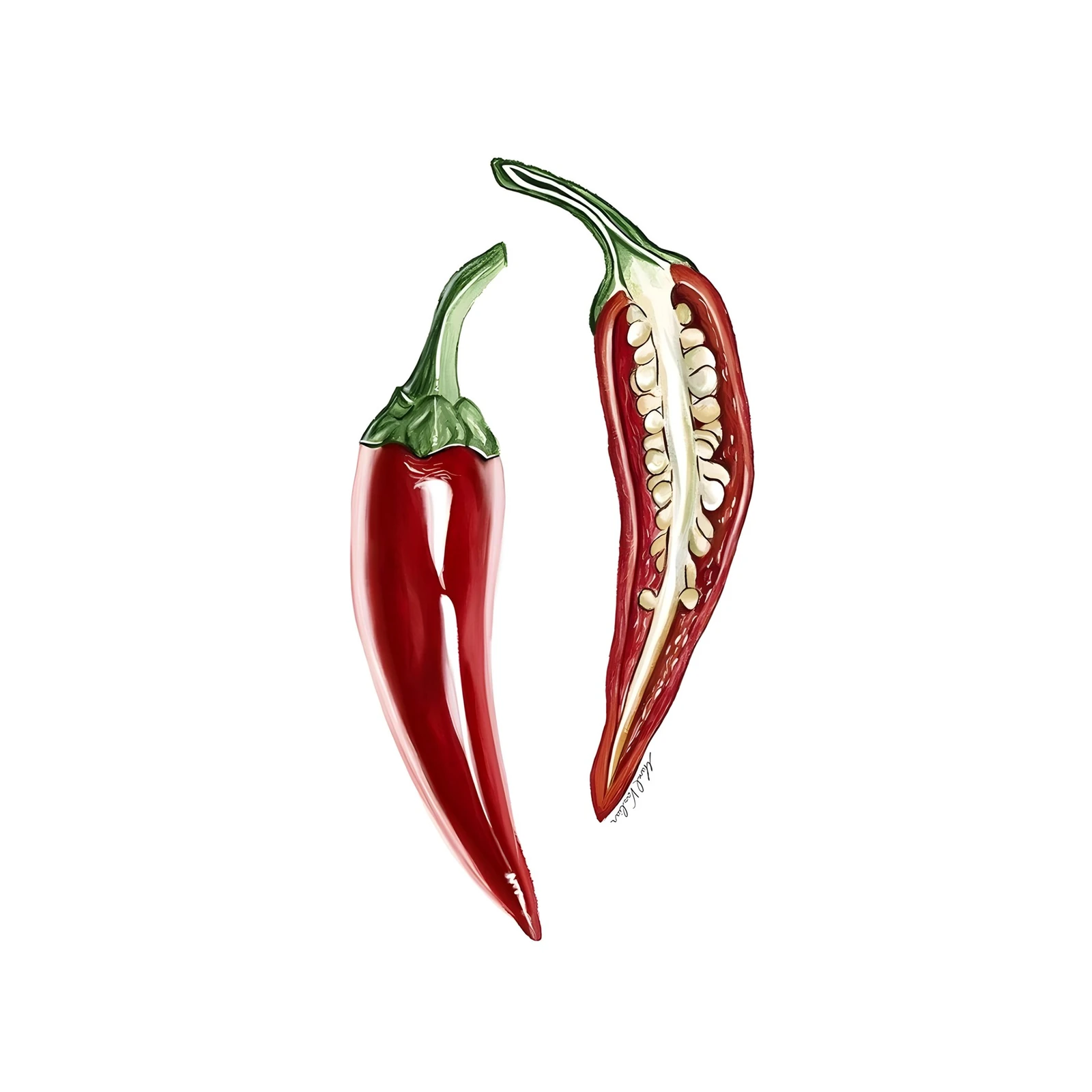 Vibrant Red Chili Pepper Art Wall Art