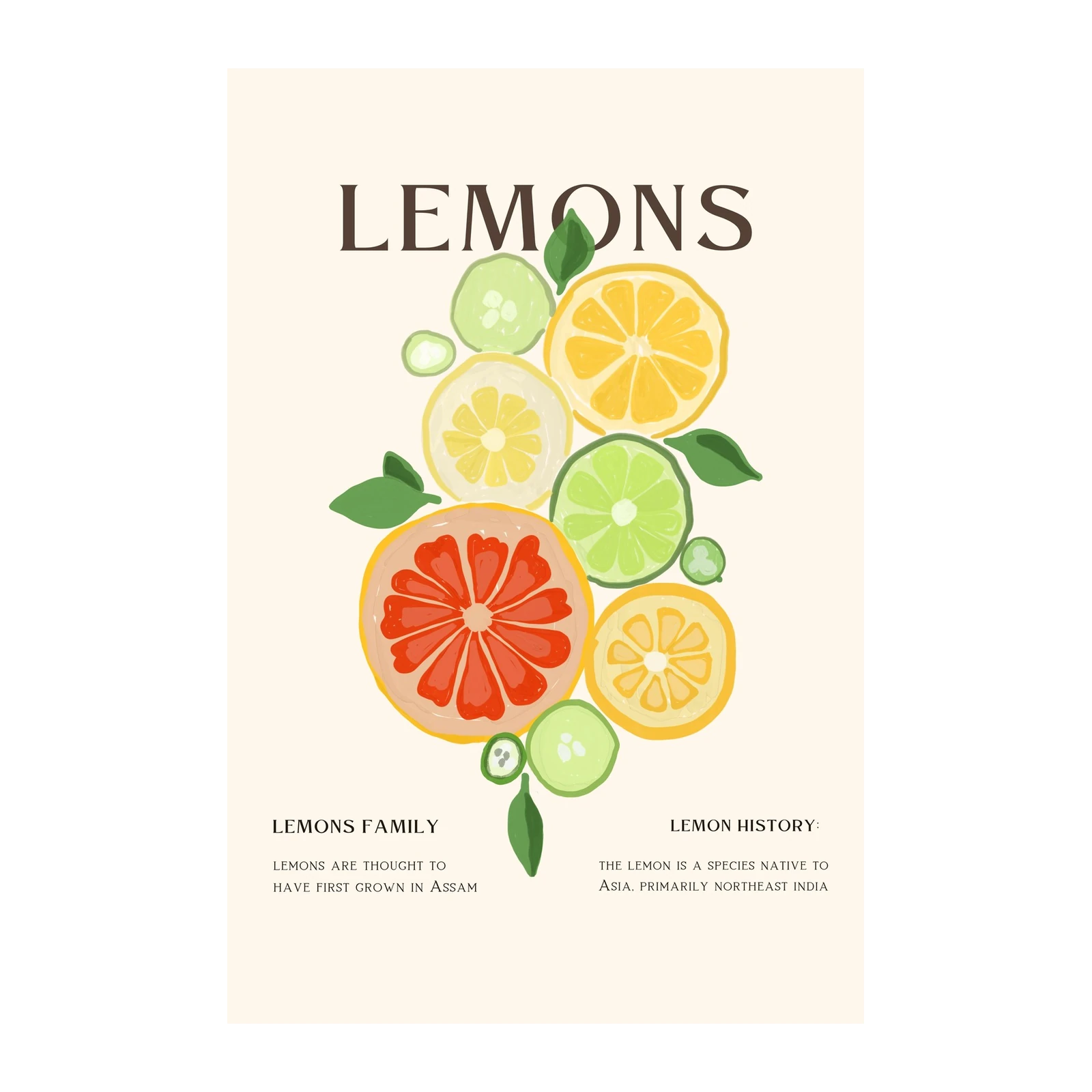 Vibrant Citrus Slices Wall Art