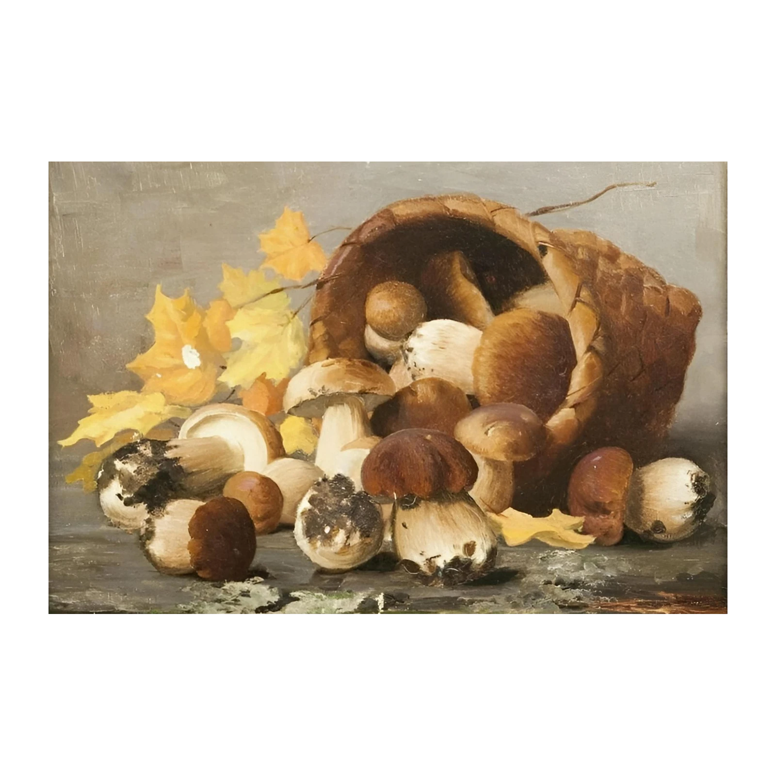 Bountiful Harvest Mushroom Still Life Wall Art