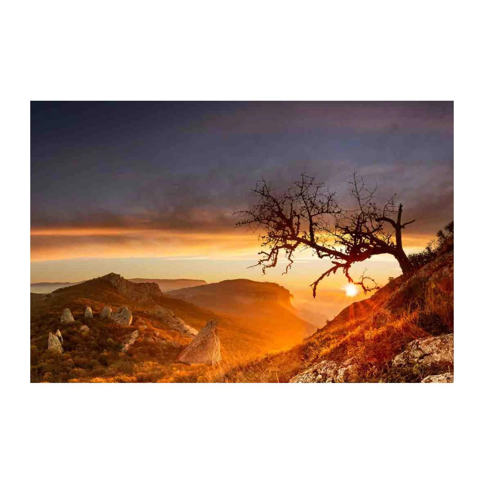 Dramatic Mountain Sunrise Tree Wall Art