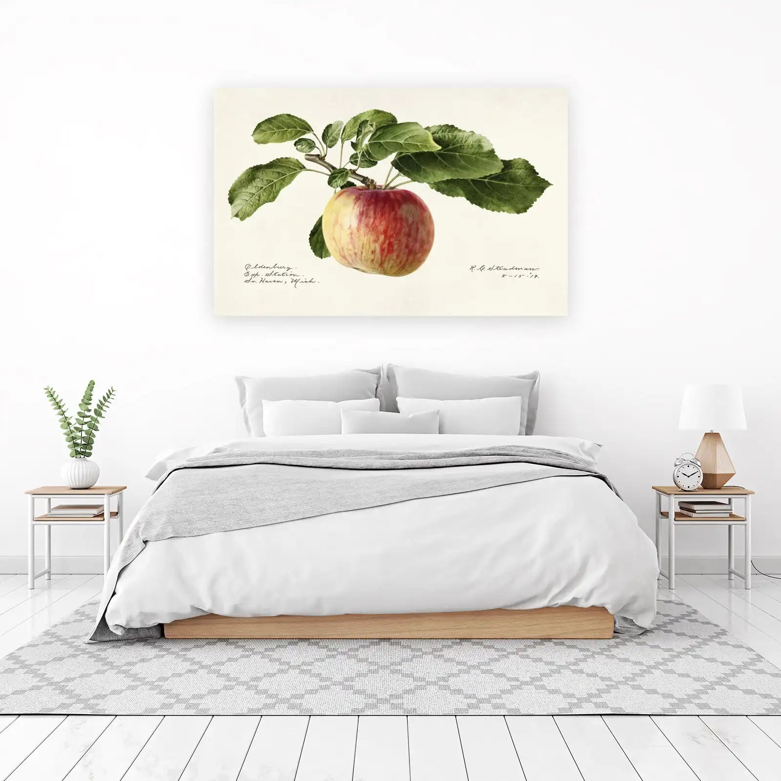 Vintage Apple Botanical Wall Art Wall Art