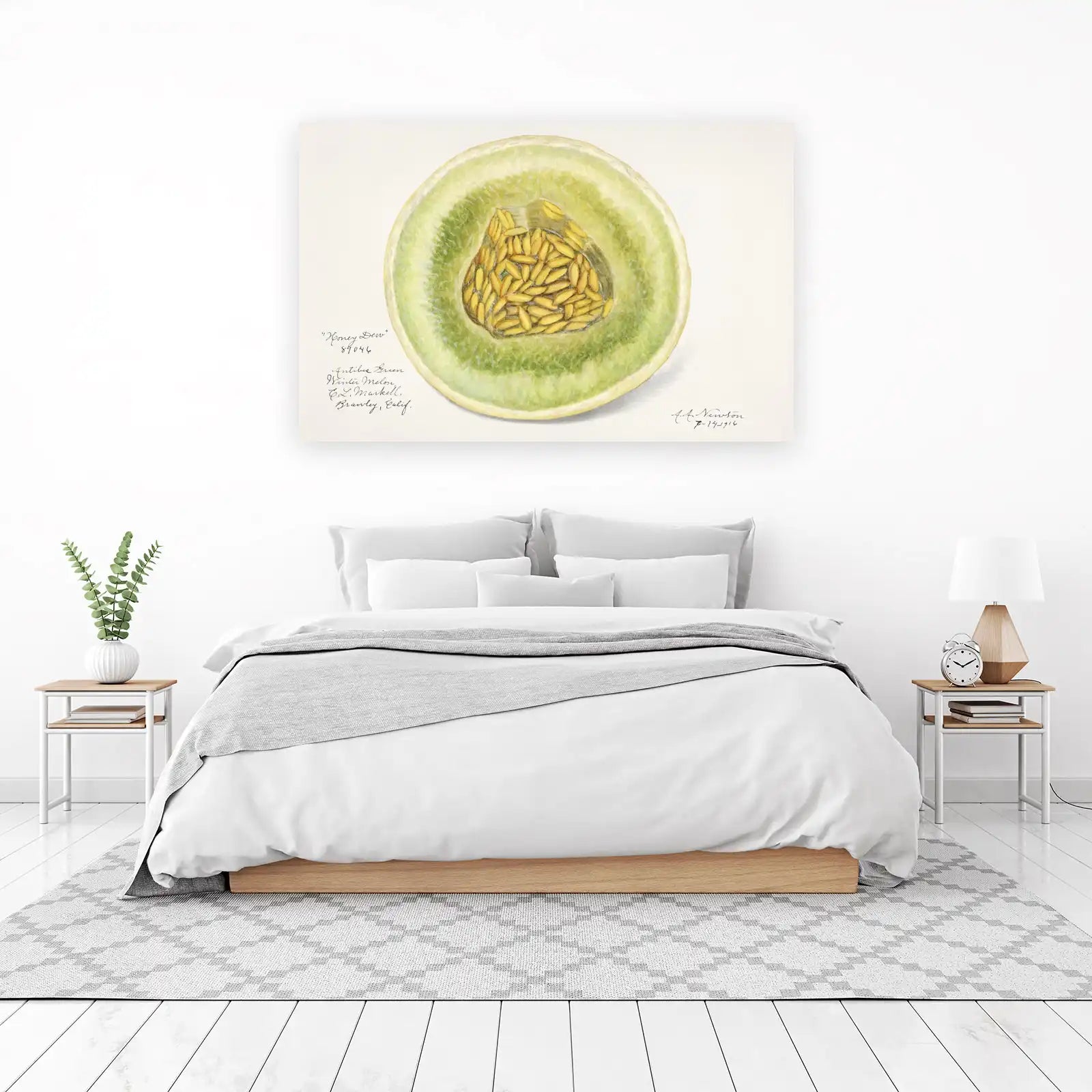 Vintage Honey Dew Melon Botanical Art Wall Art