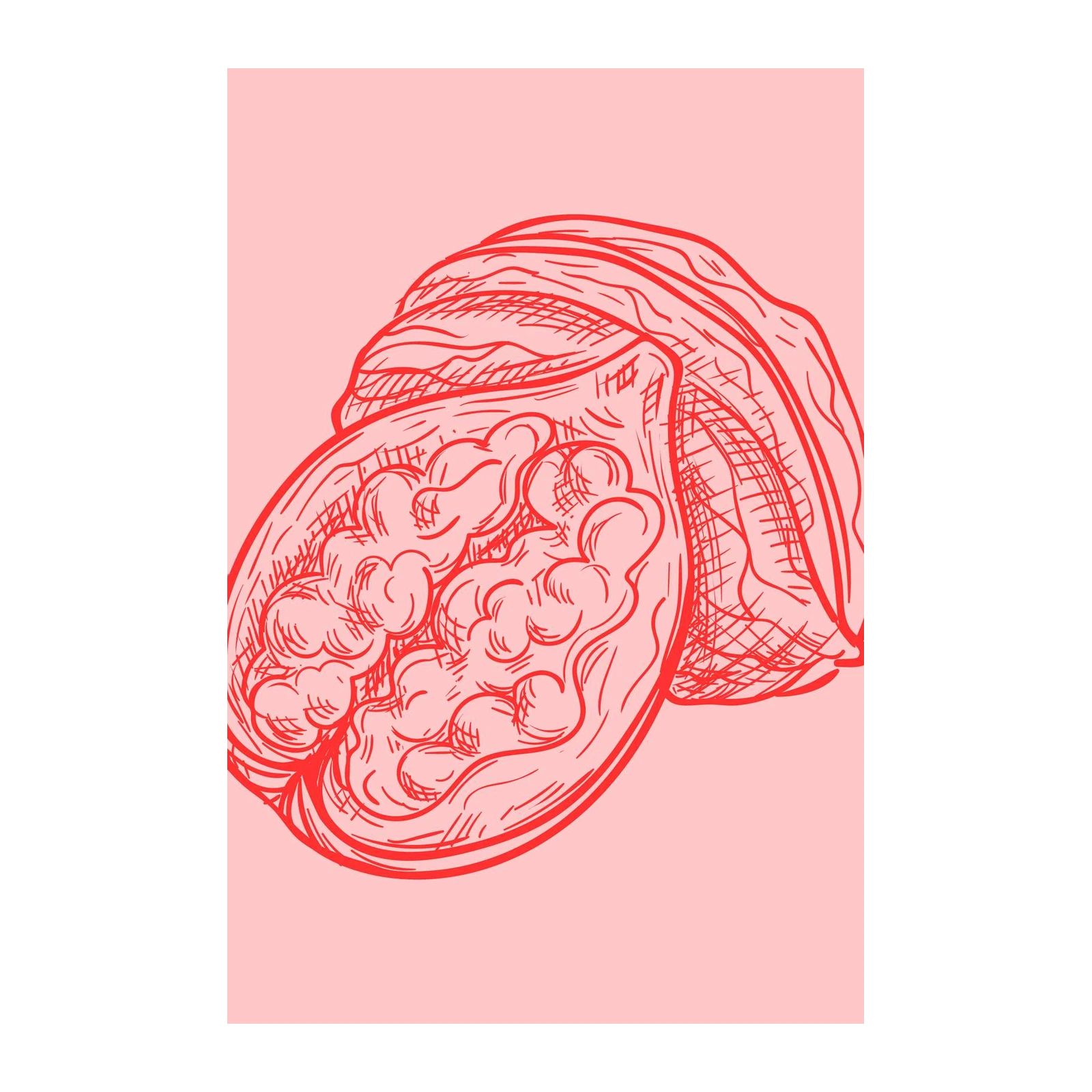Vibrant Red Nut Sketch Wall Art
