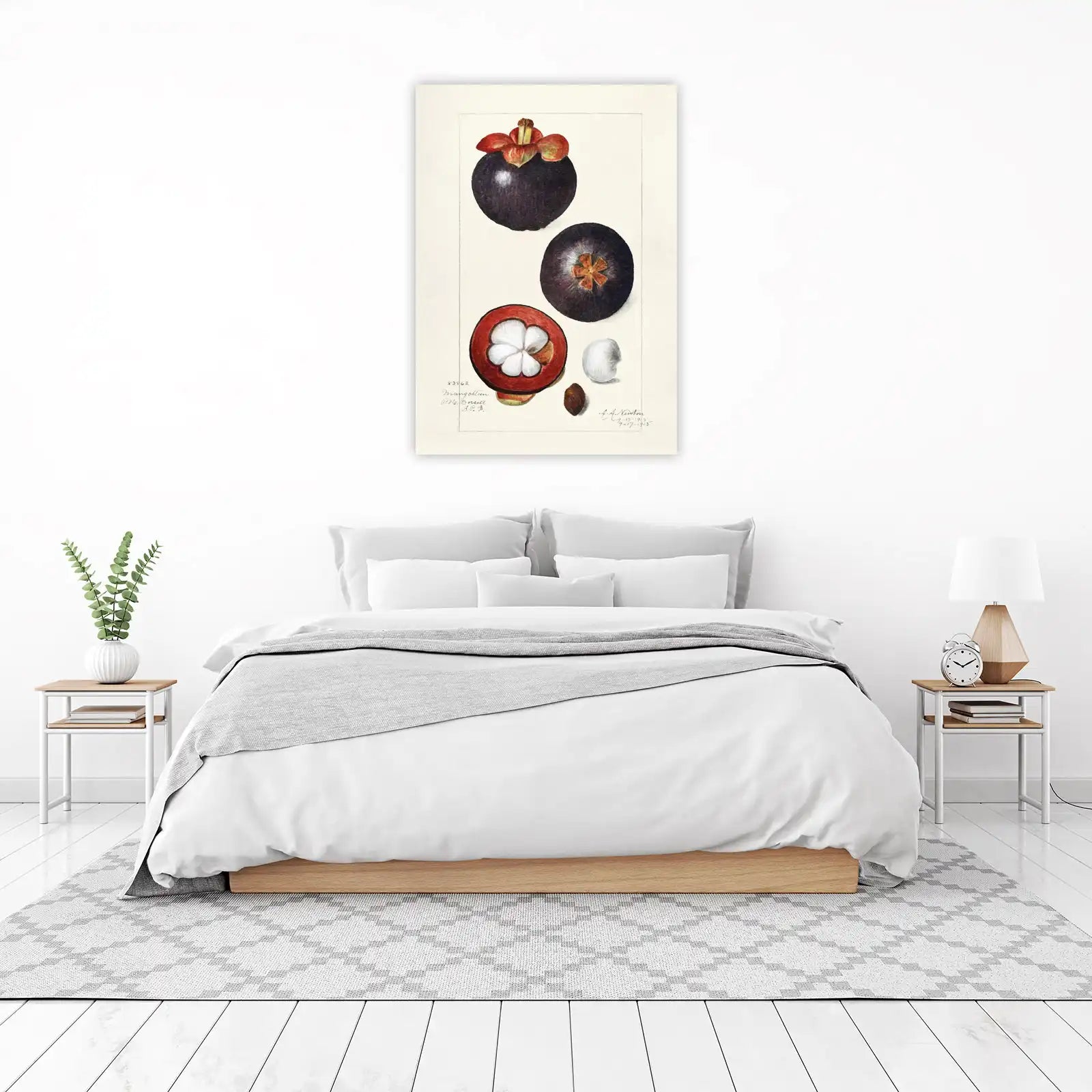 Vintage Mangosteen Botanical Art Wall Art