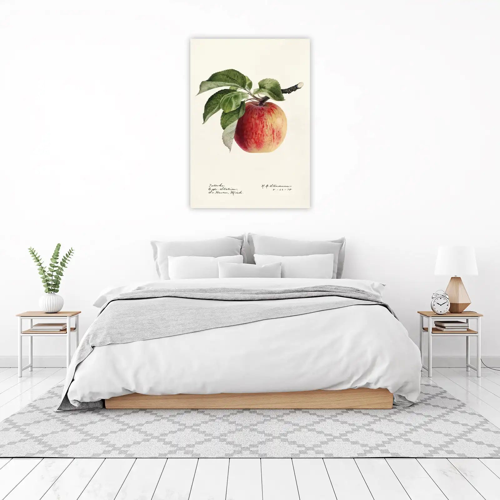 Vintage Apple Botanical Art Wall Art