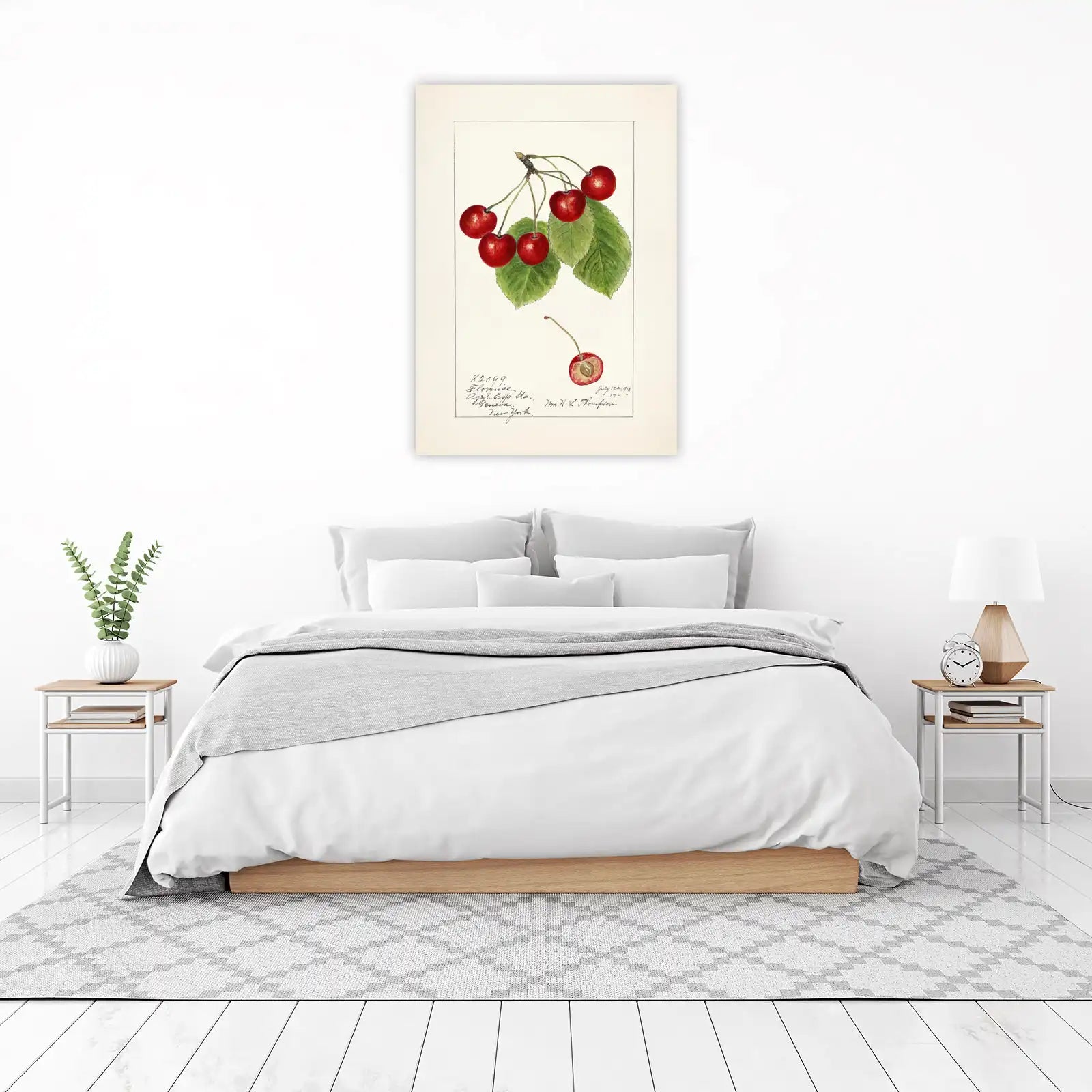 Vintage Cherry Botanical Art Wall Art