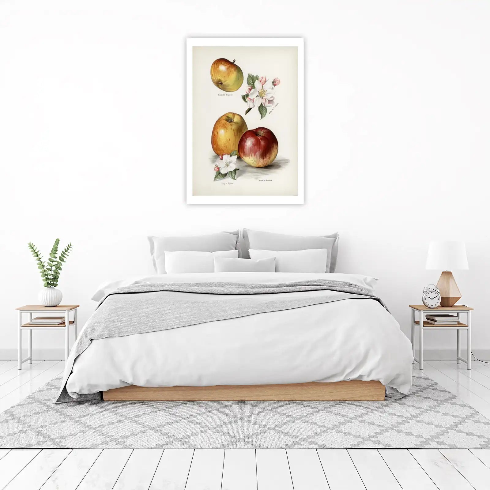 Vintage Apple Varieties & Blossoms Wall Art