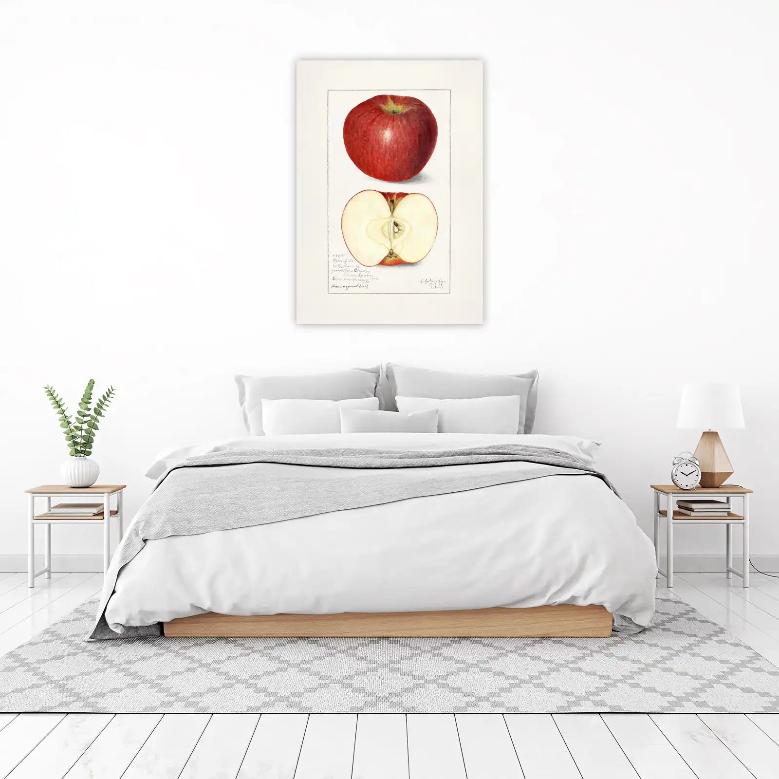 Vintage Red Apple Botanical Art Wall Art