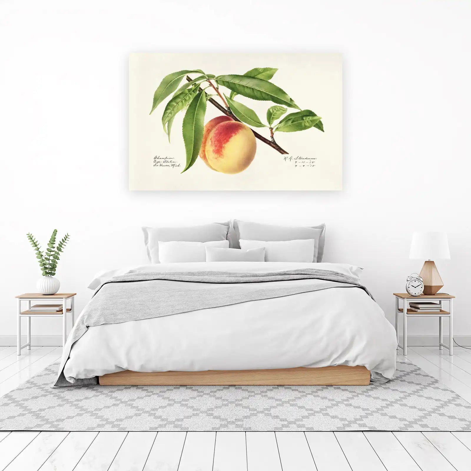 Vintage Peach Botanical Art Wall Art