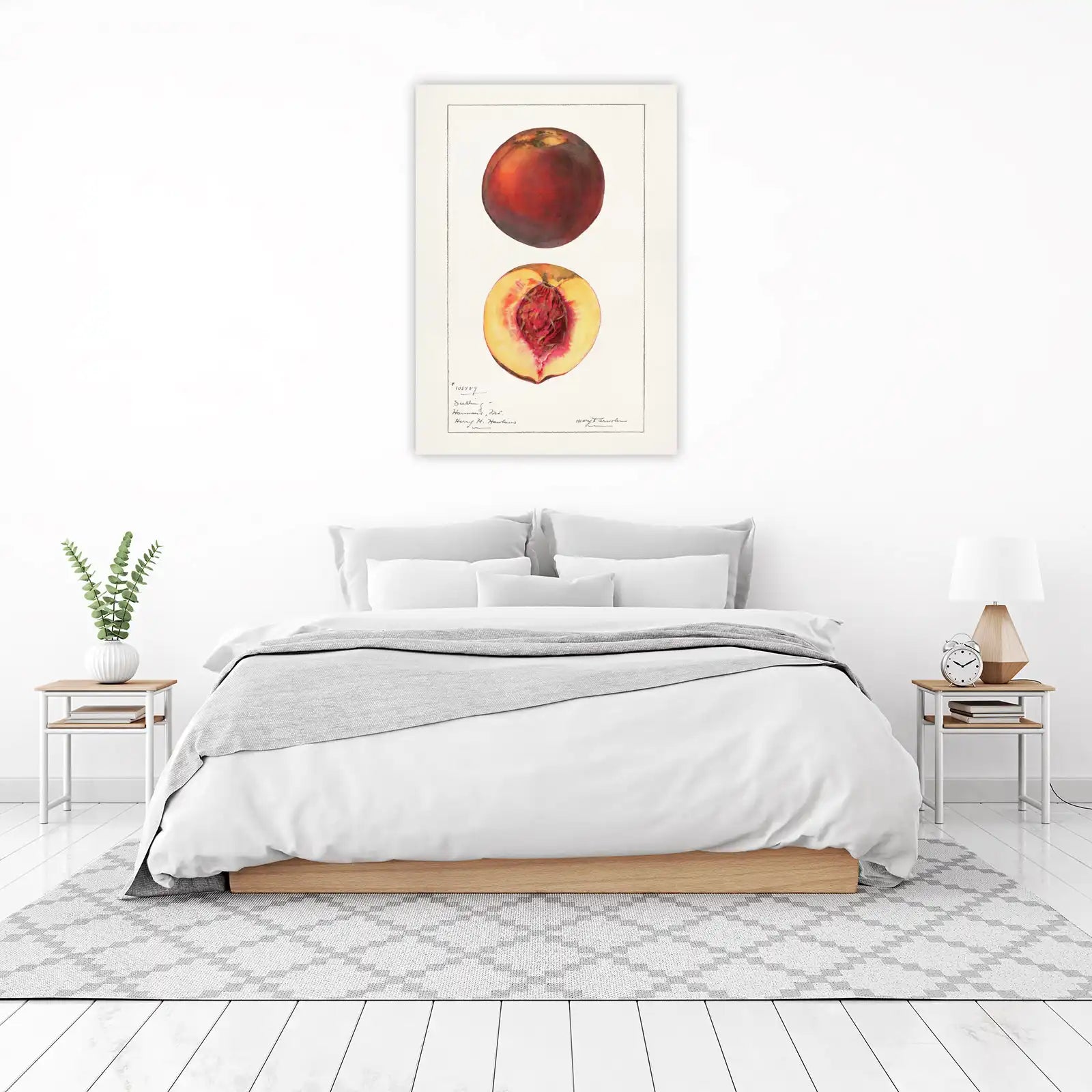 Vintage Peach Botanical Art Wall Art