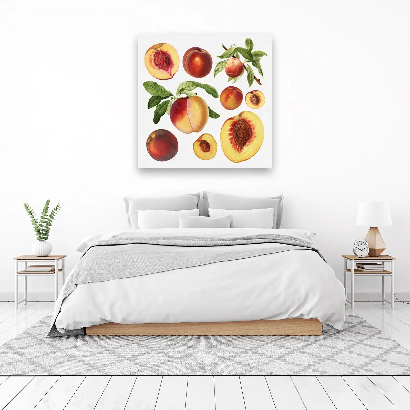 Vintage Peach Botanical Illustration Wall Art