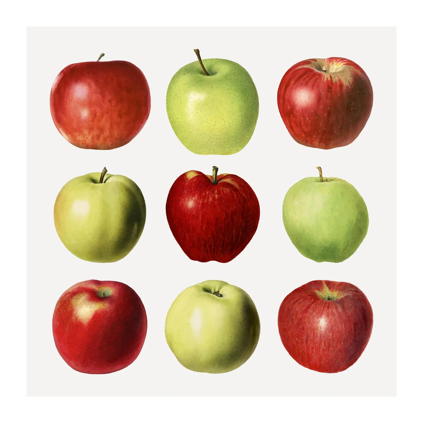 Vintage Apples Botanical Wall Art Wall Art