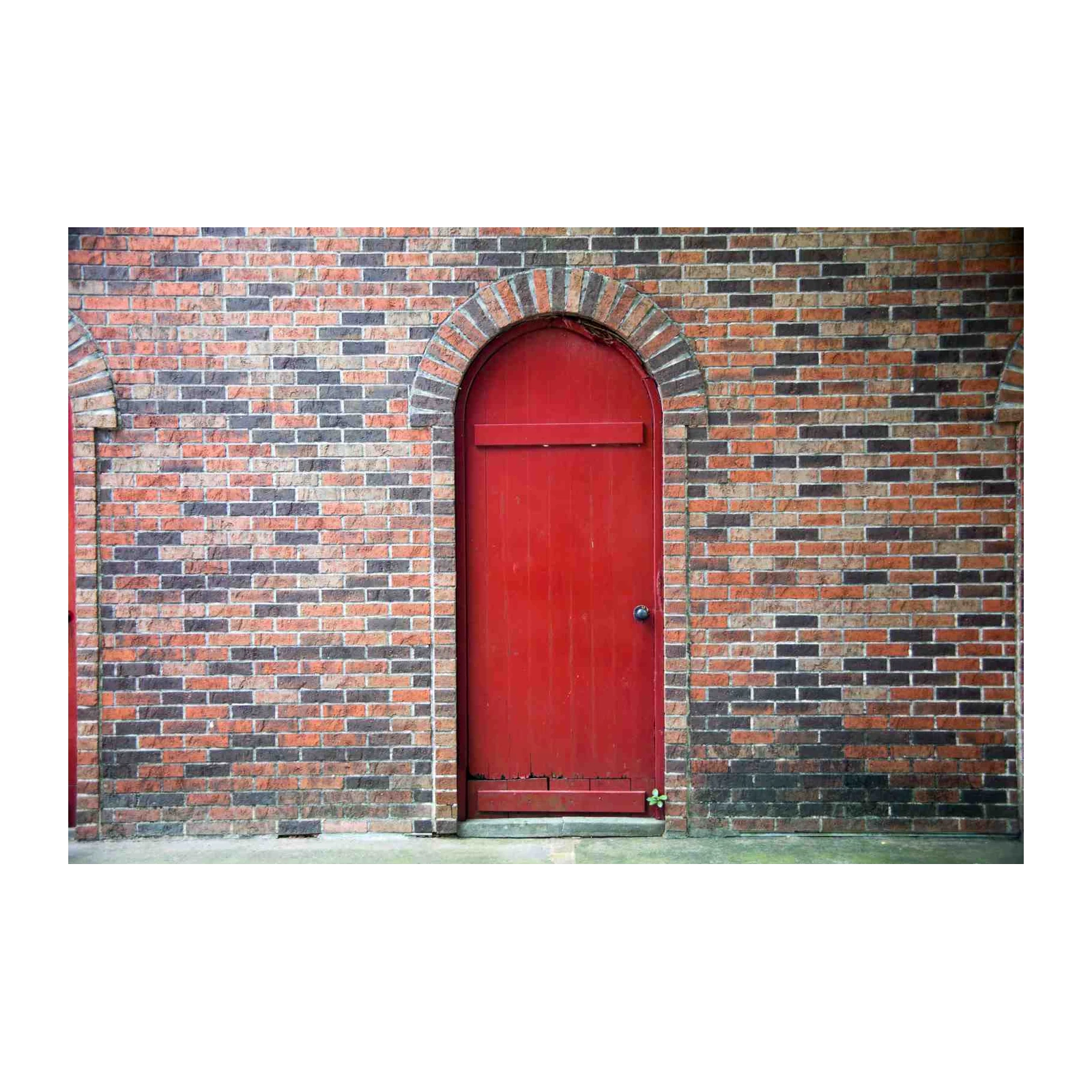 Rustic Red Door Brick Archway Wall Art
