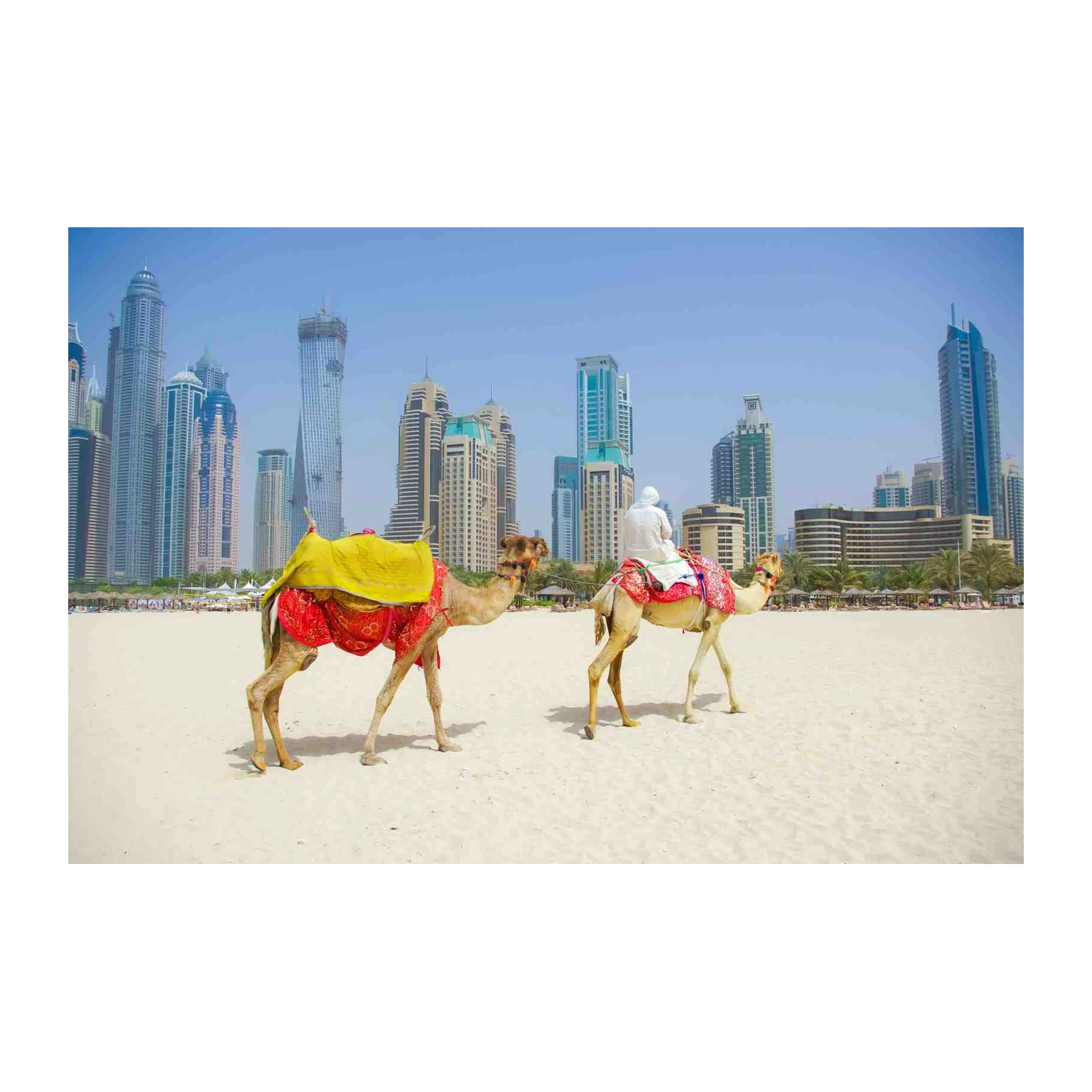 Dubai Camel Beach Scene Wall Art