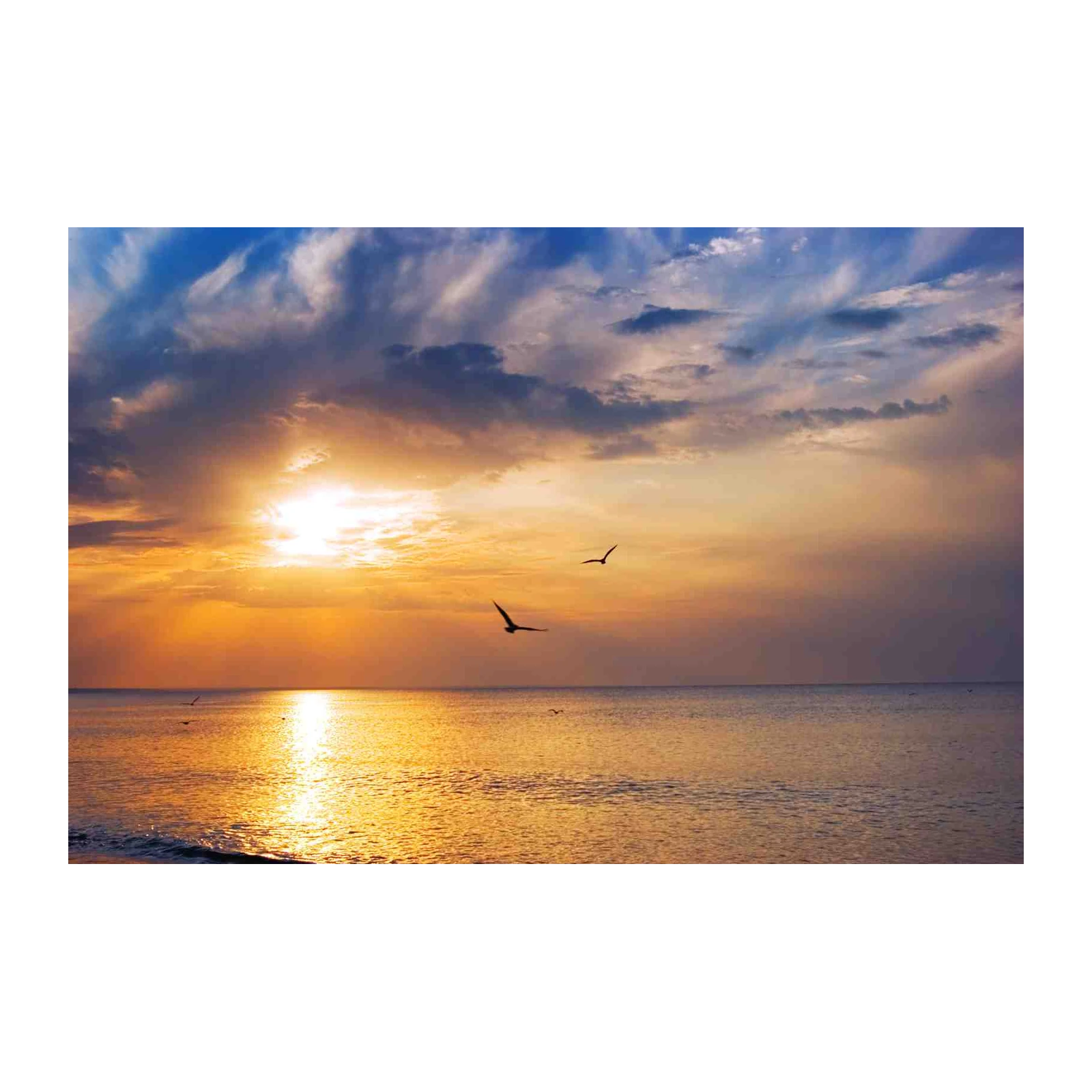 Golden Horizon Seagulls Wall Art