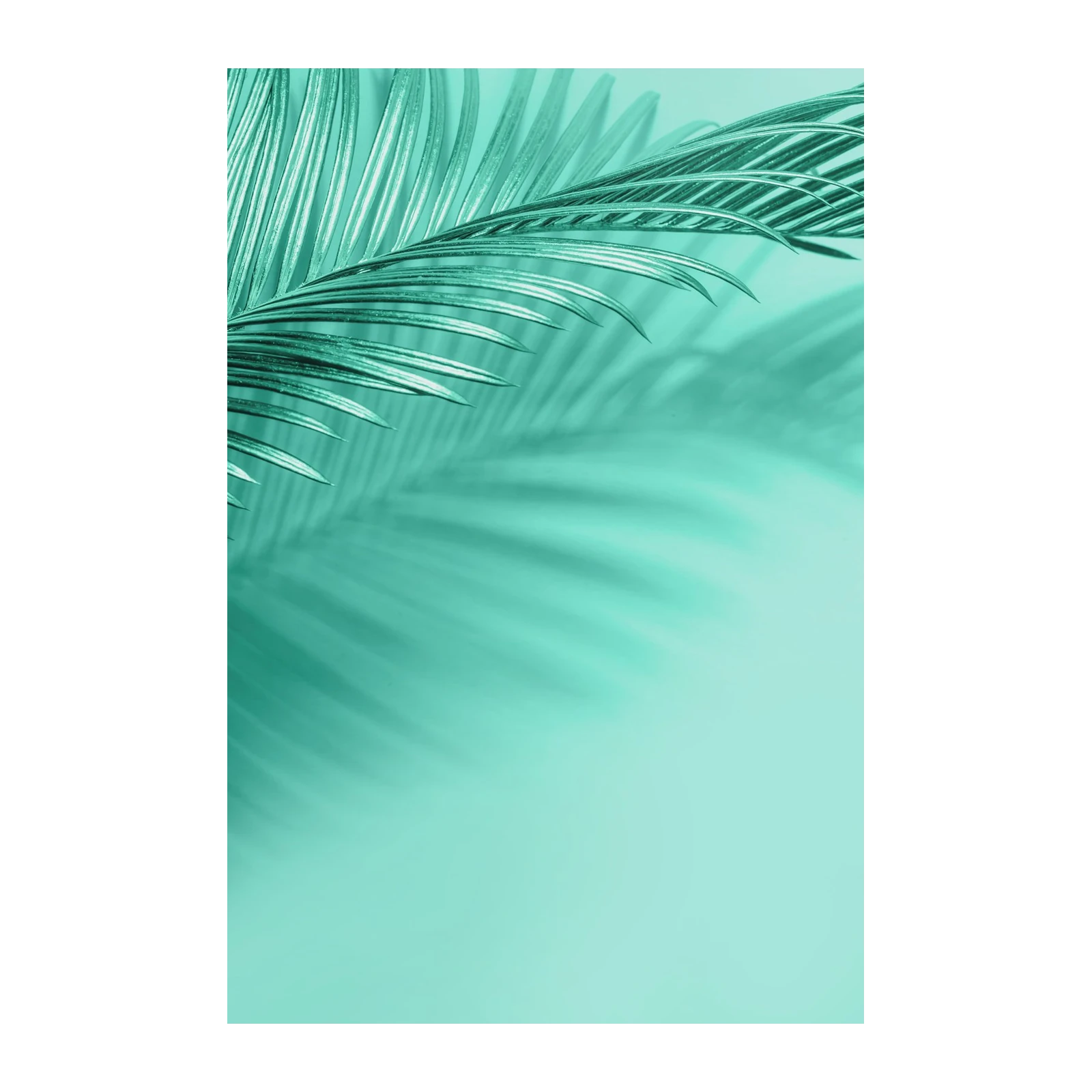 Serene Teal Palm Leaf Shadow Wall Art
