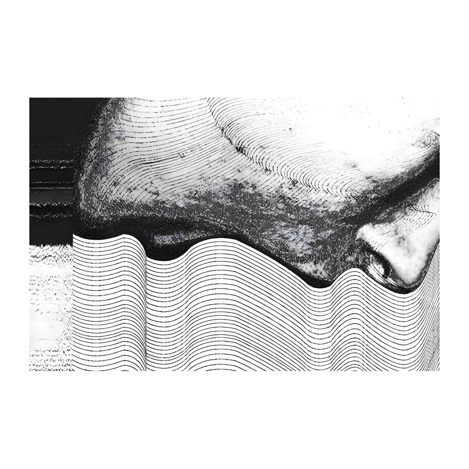 Abstract Contour Black & White Wall Art