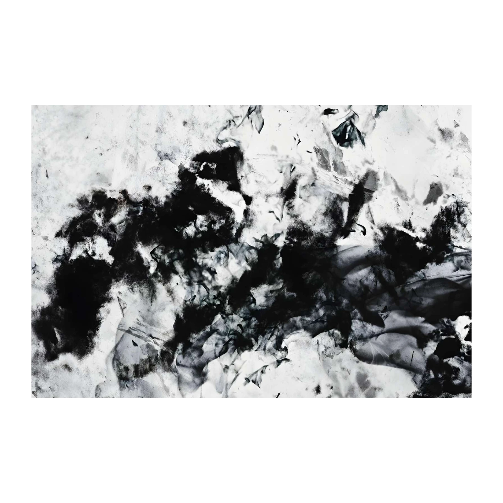 Abstract Black & White Ink Splash Wall Art