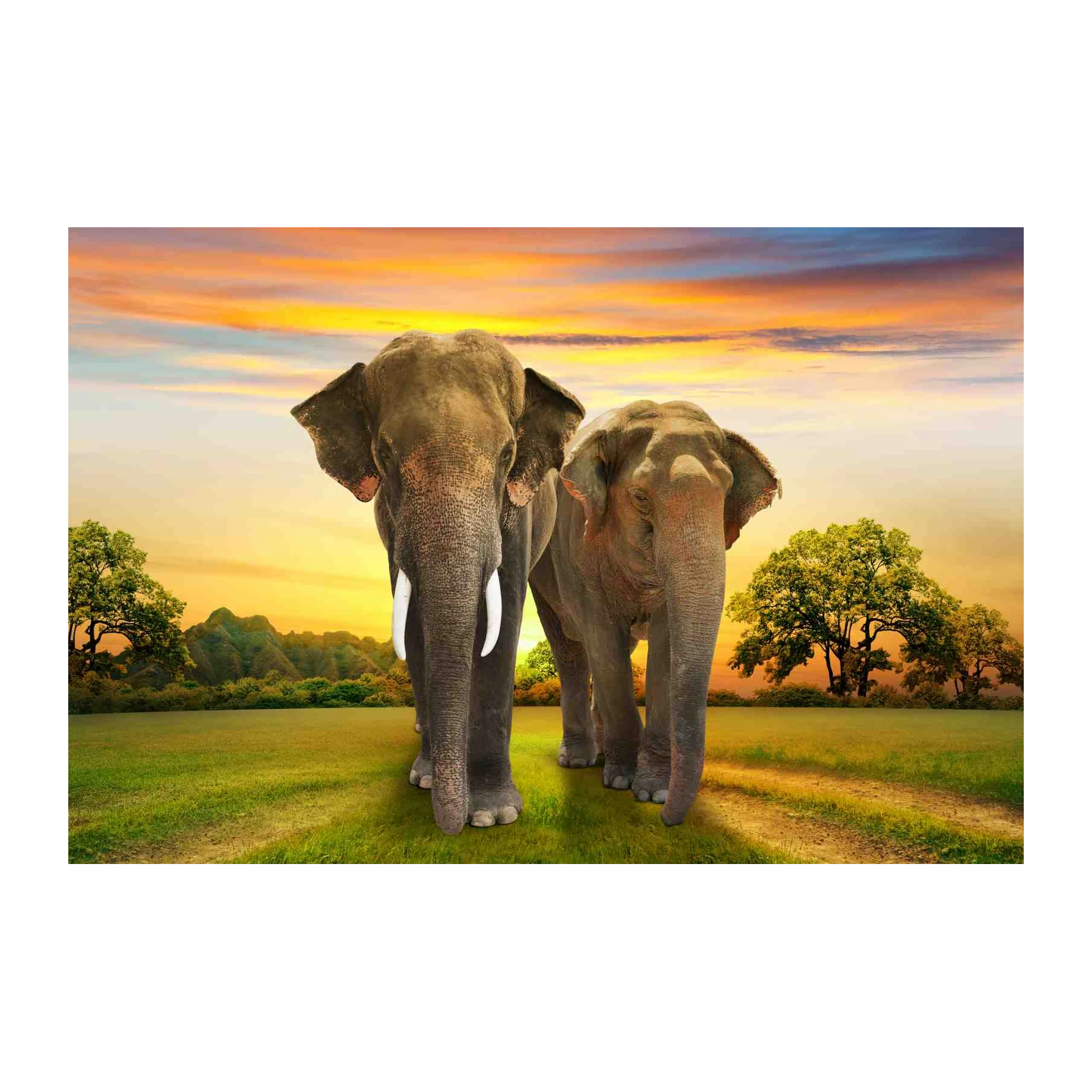 Majestic Elephants Sunset Wildlife Wall Art