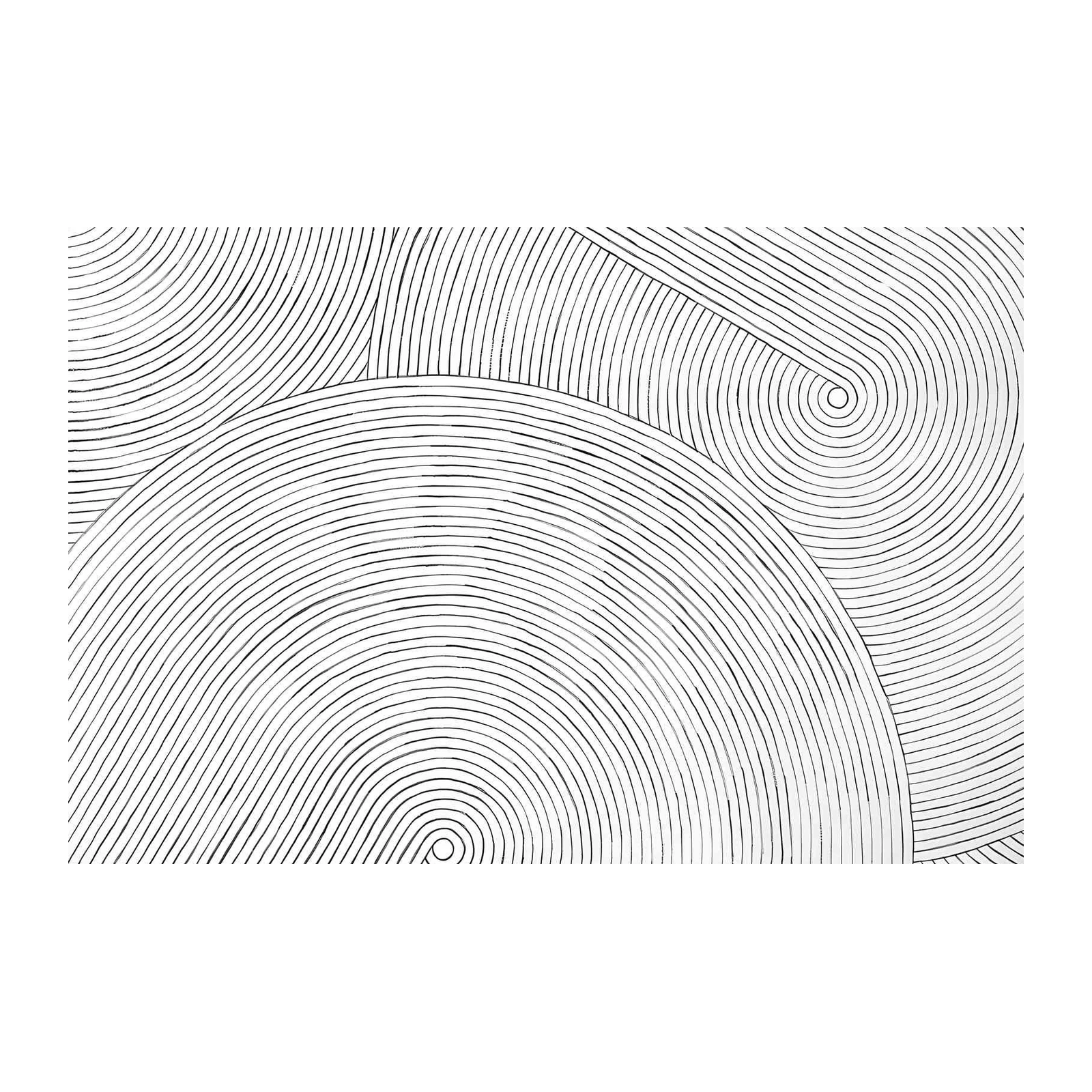 Modern Abstract Black & White Line Art Wall Art