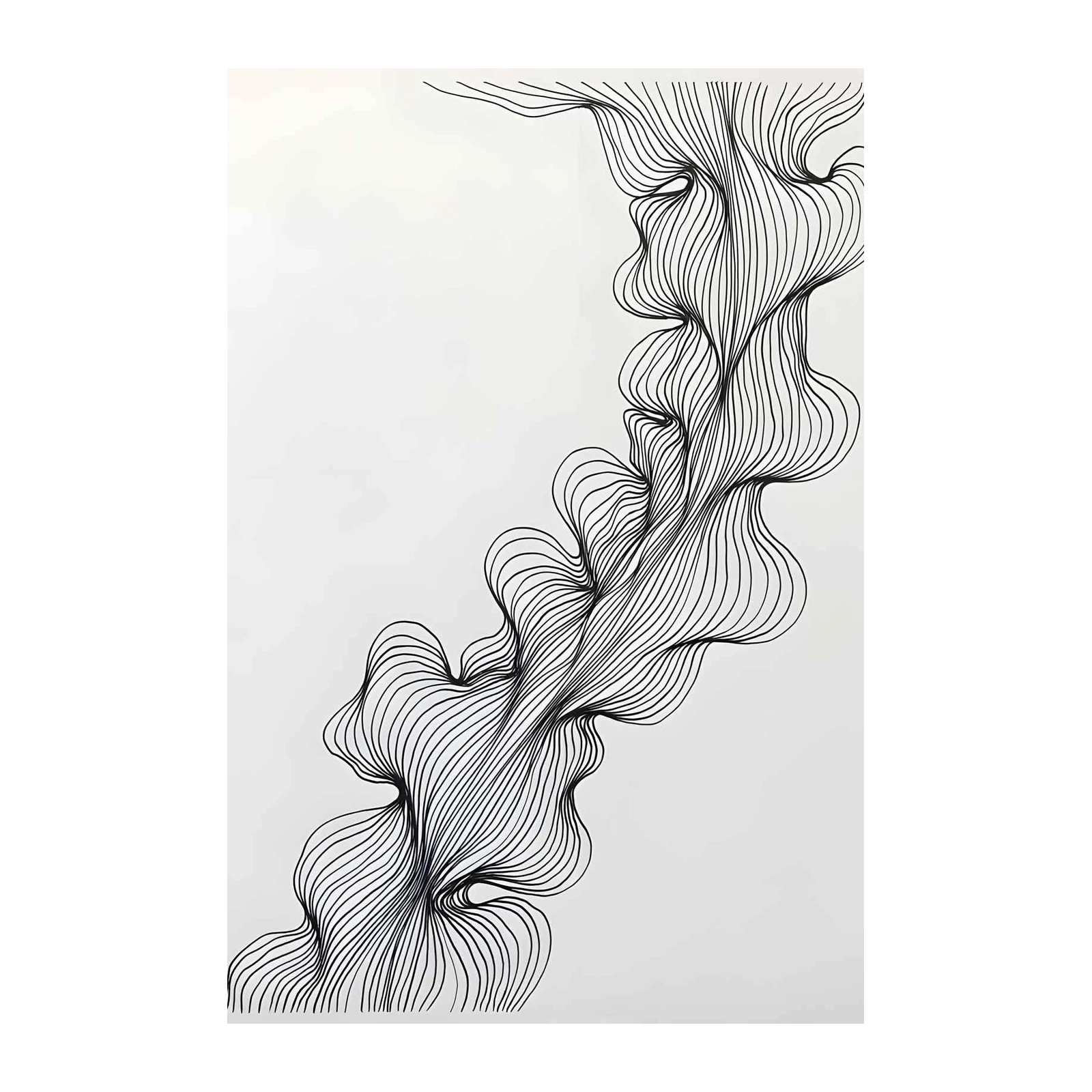 Abstract Black & White Flow Wall Art