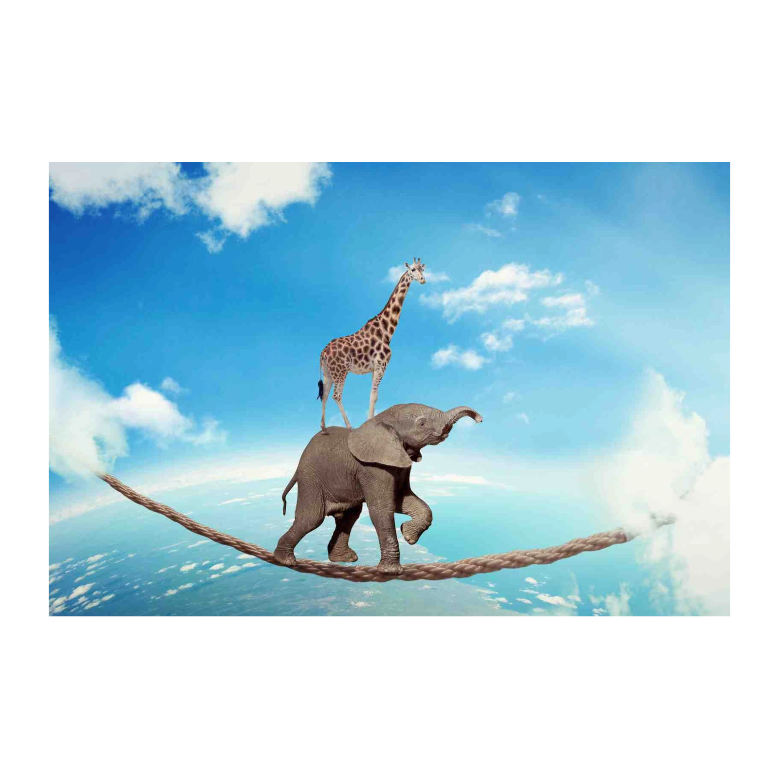Elephant & Giraffe Tightrope Wall Art