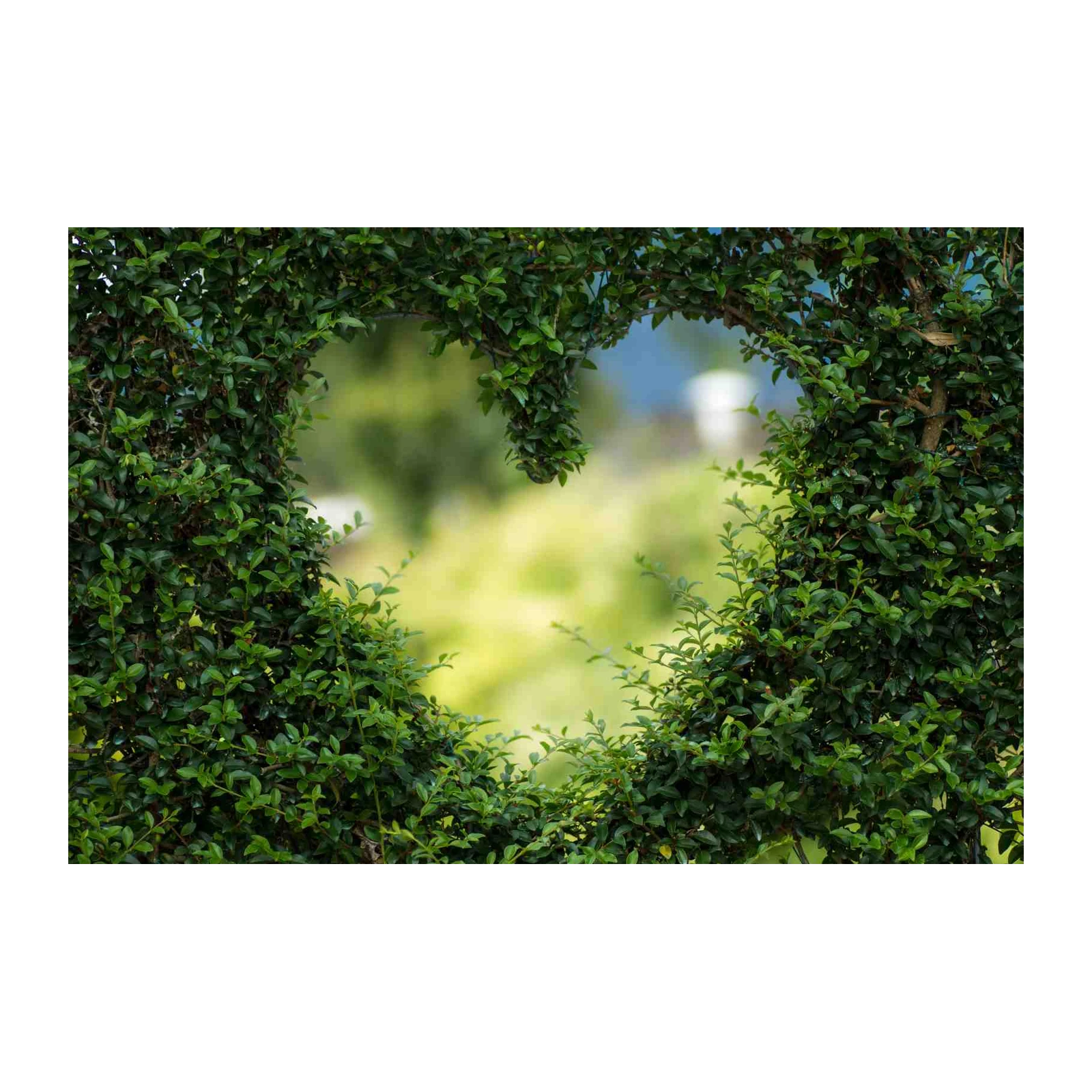 Heart Shaped Garden Nature Wall Art