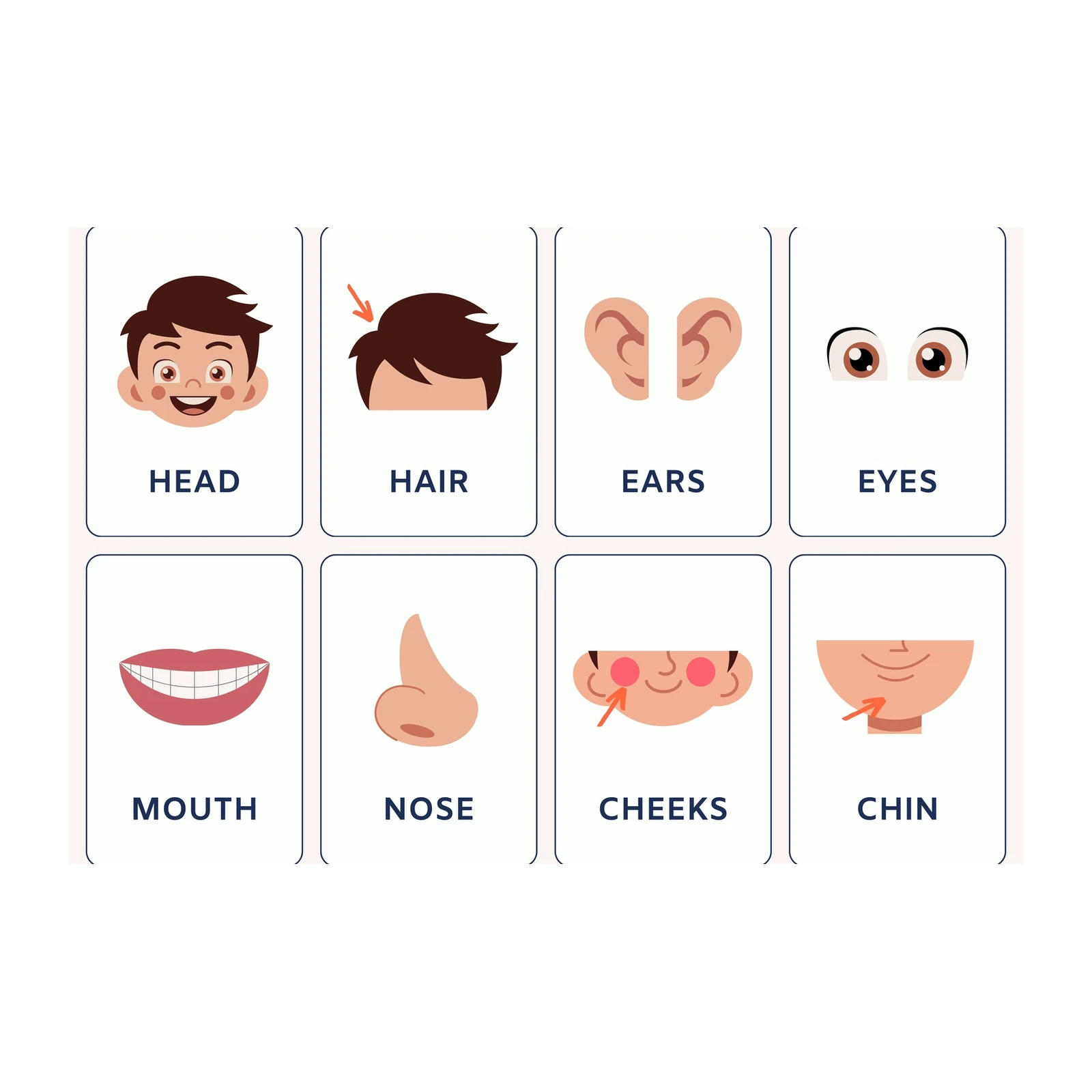 Cute Human Body Parts Flashcards Wall Art
