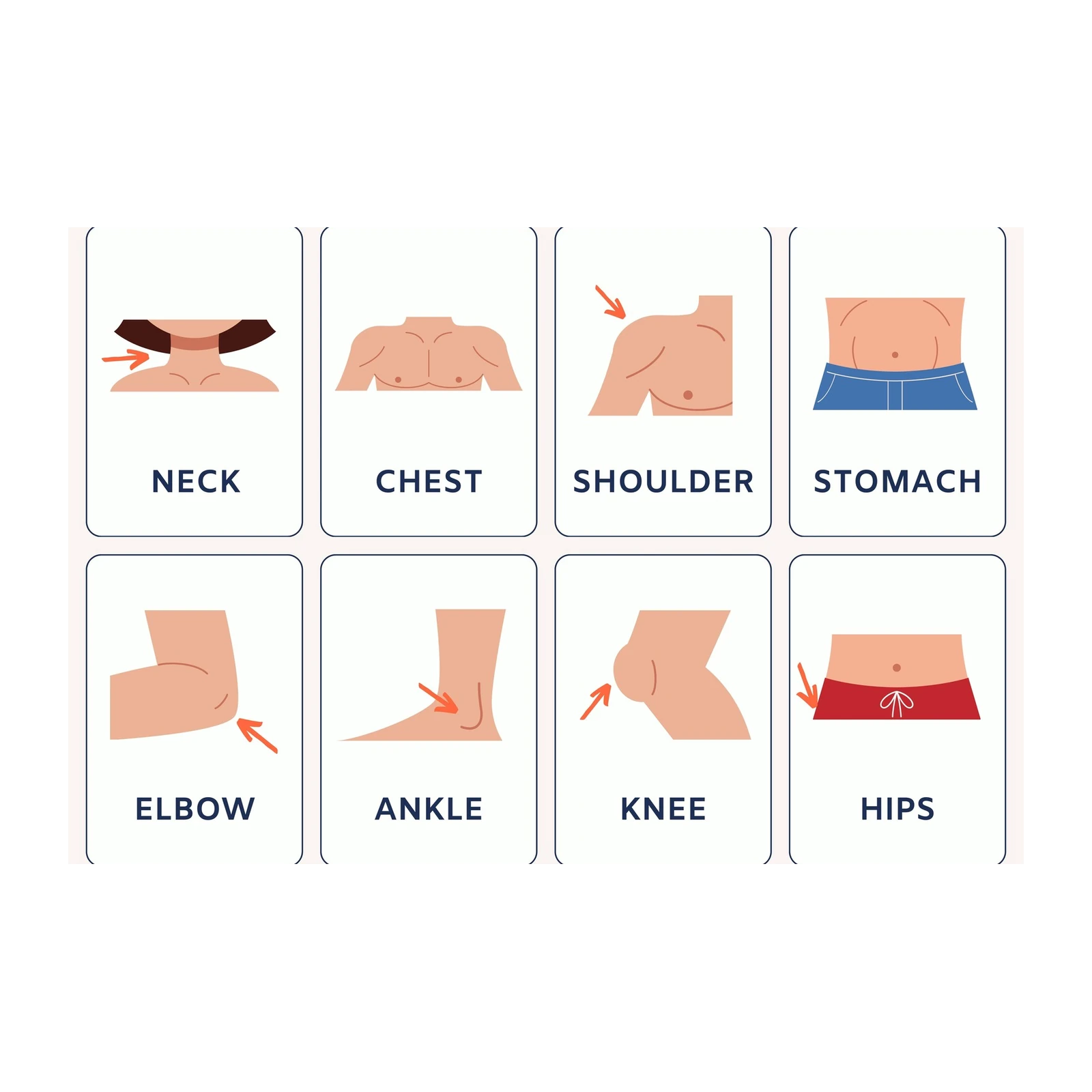 Anatomy Chart Wall Art Wall Art