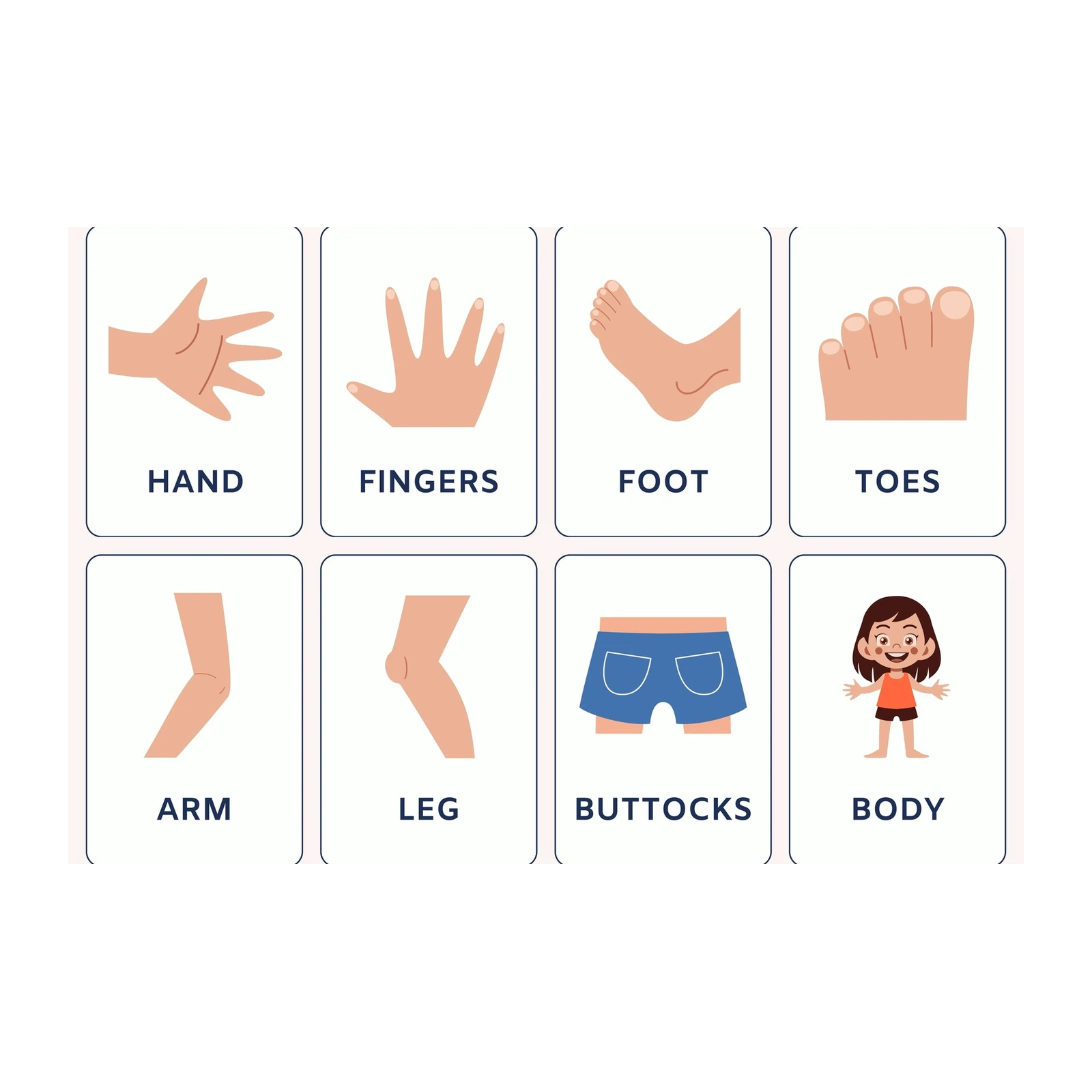 Educational Body Parts Flashcard Set Wall Art
