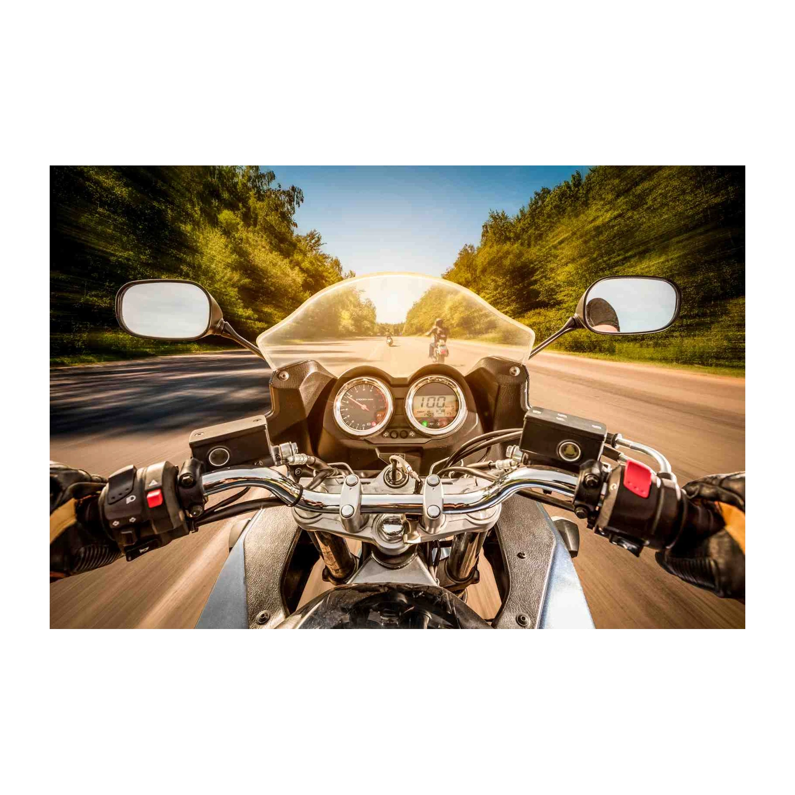 Biker's Freedom Motorcycle Road Wall Art