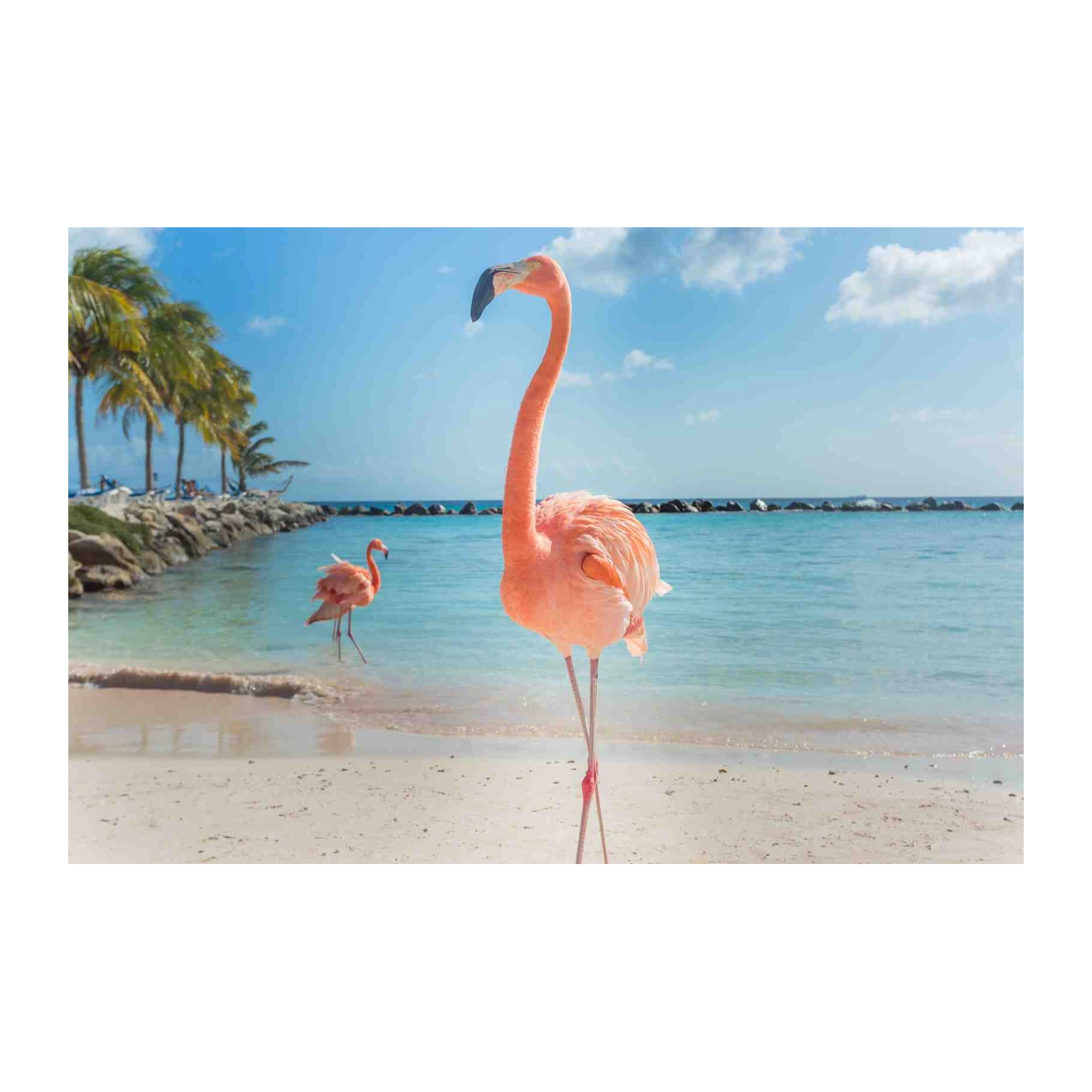 Tropical Flamingo Beach Serenity Wall Art