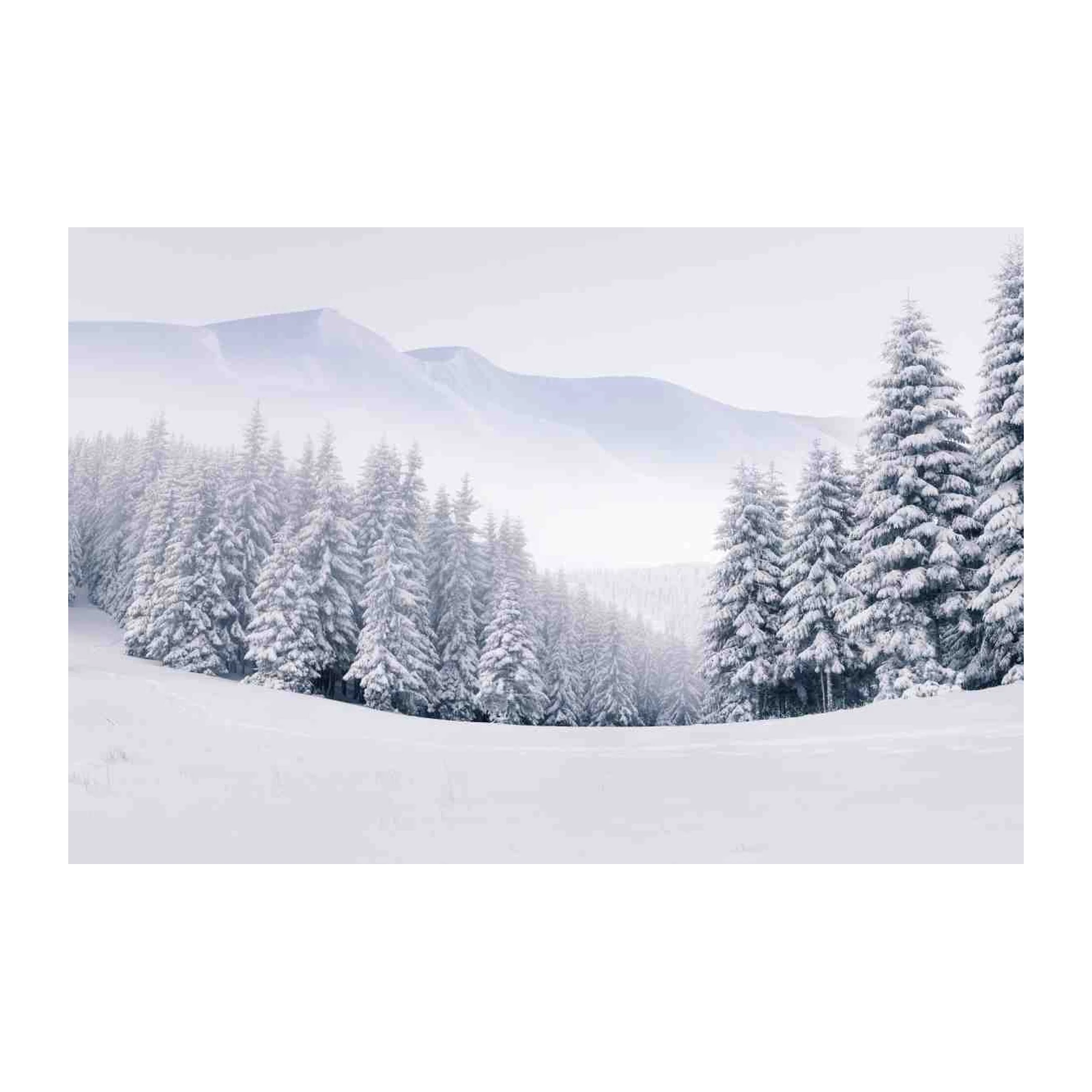 Serene Snowy Forest Landscape Wall Art