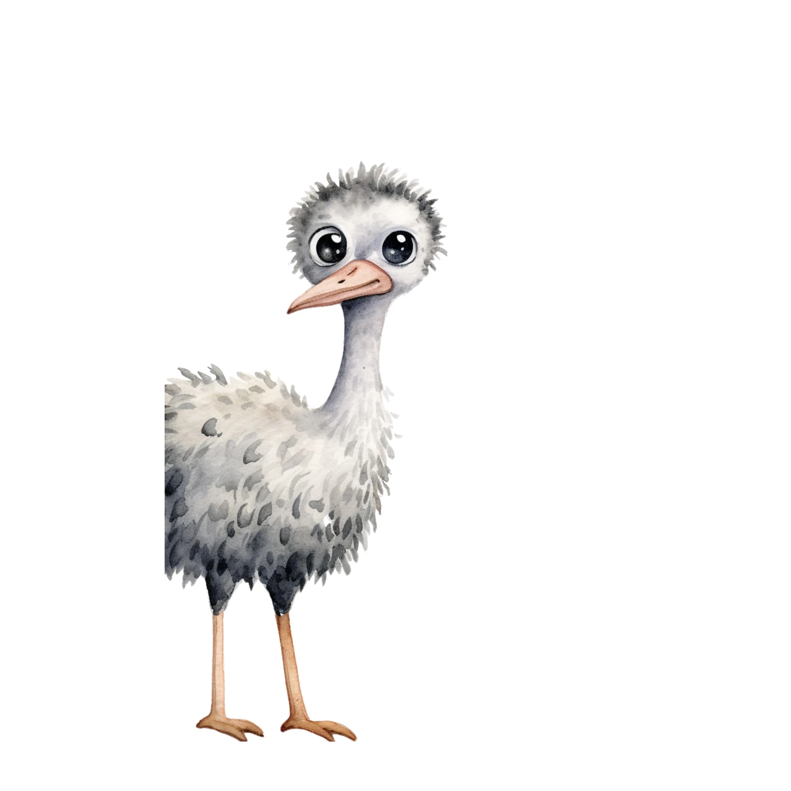 Cute Ostrich Watercolour Art Wall Art