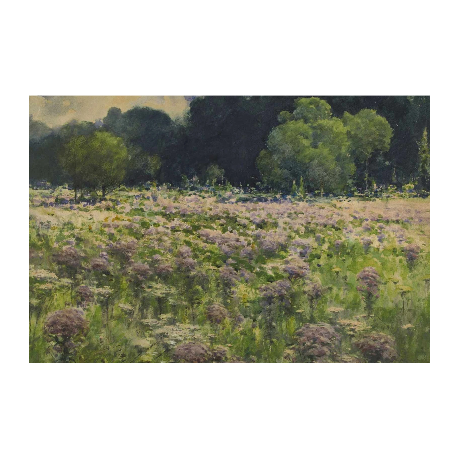 Serene Wildflower Meadow Landscape Wall Art