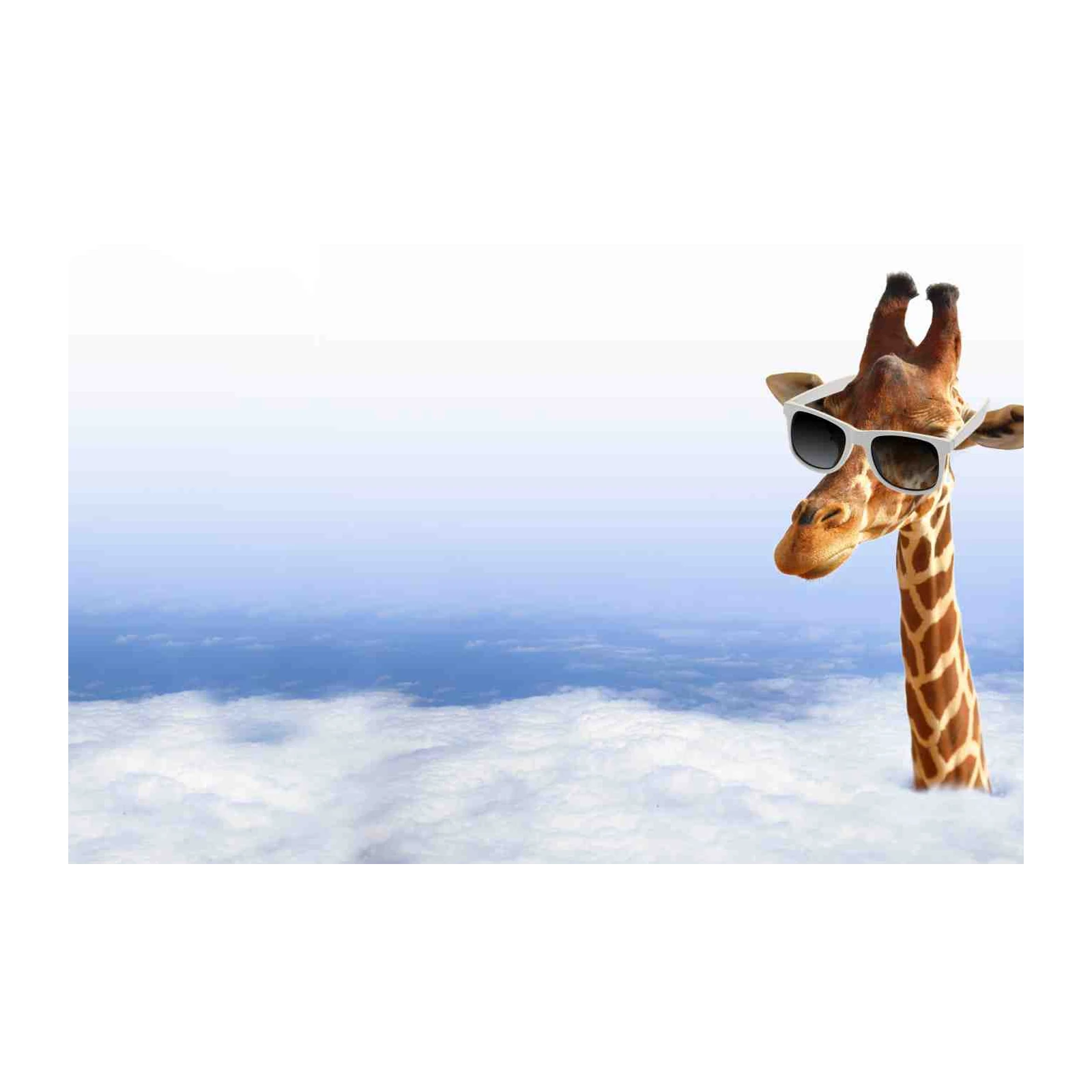 Cool Giraffe Above Clouds Wall Art