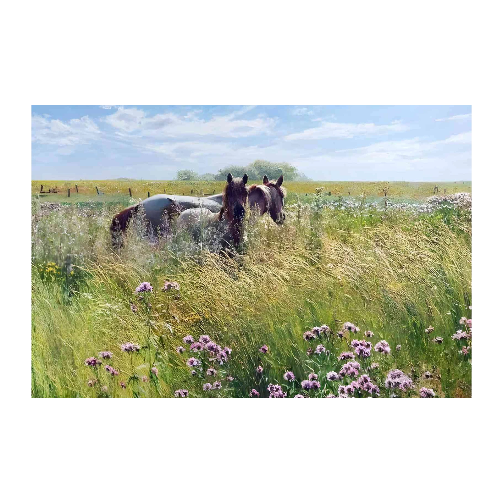 Serene Horses in Meadow Wall Art
